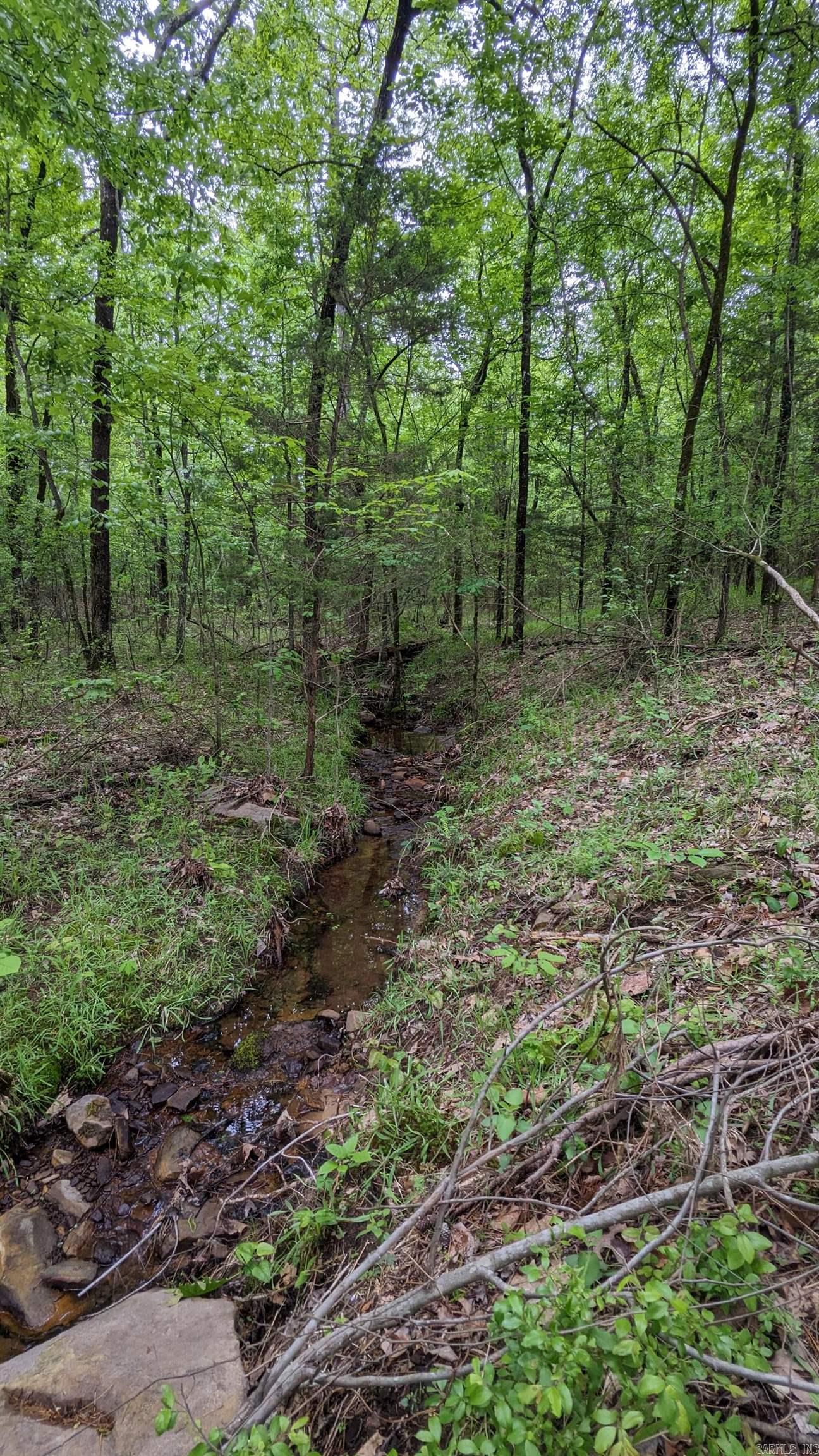 69.98 Acres  HWY 154  Morrilton, AR