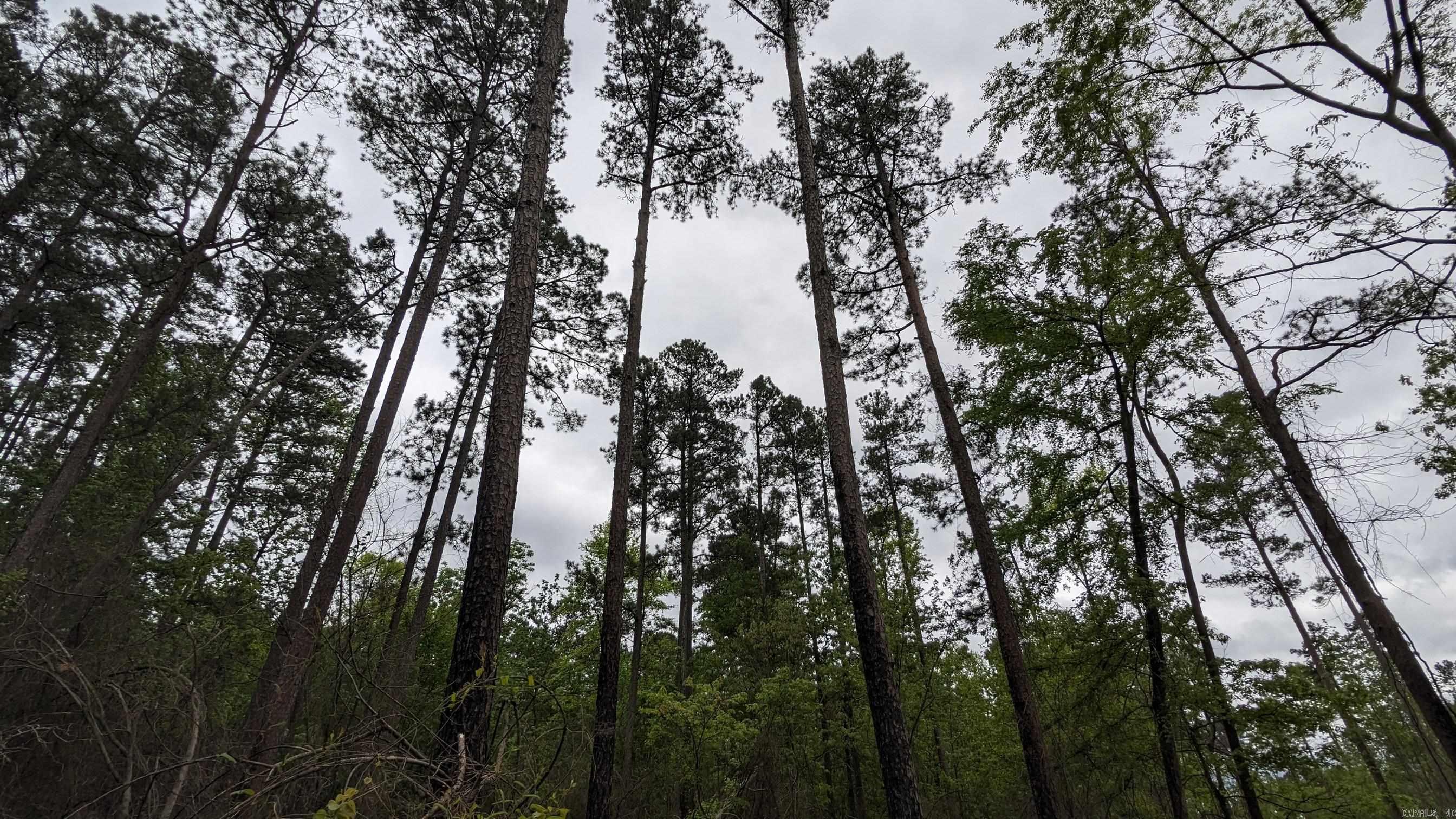 69.98 Acres  HWY 154  Morrilton, AR
