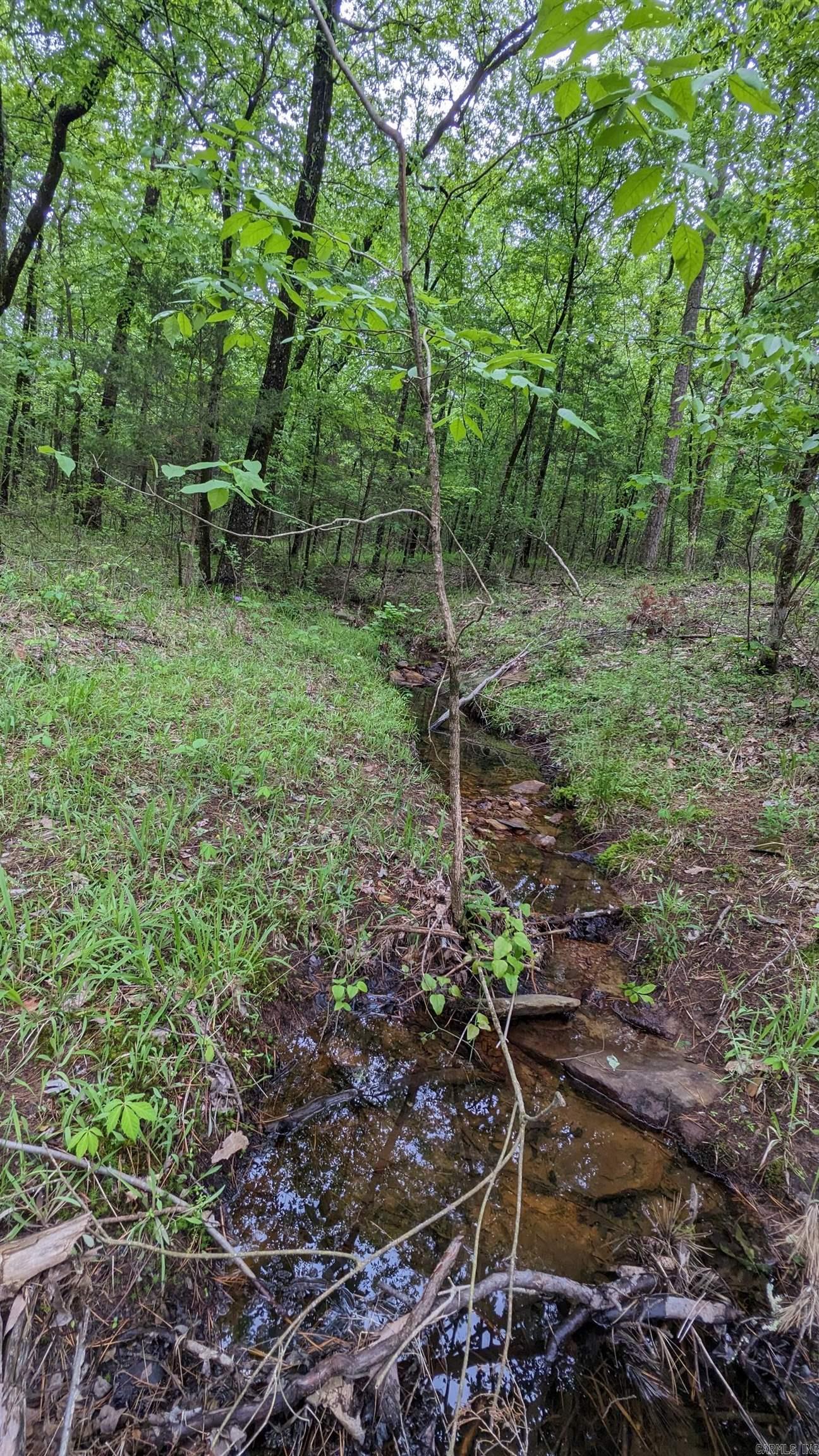 69.98 Acres  HWY 154  Morrilton, AR