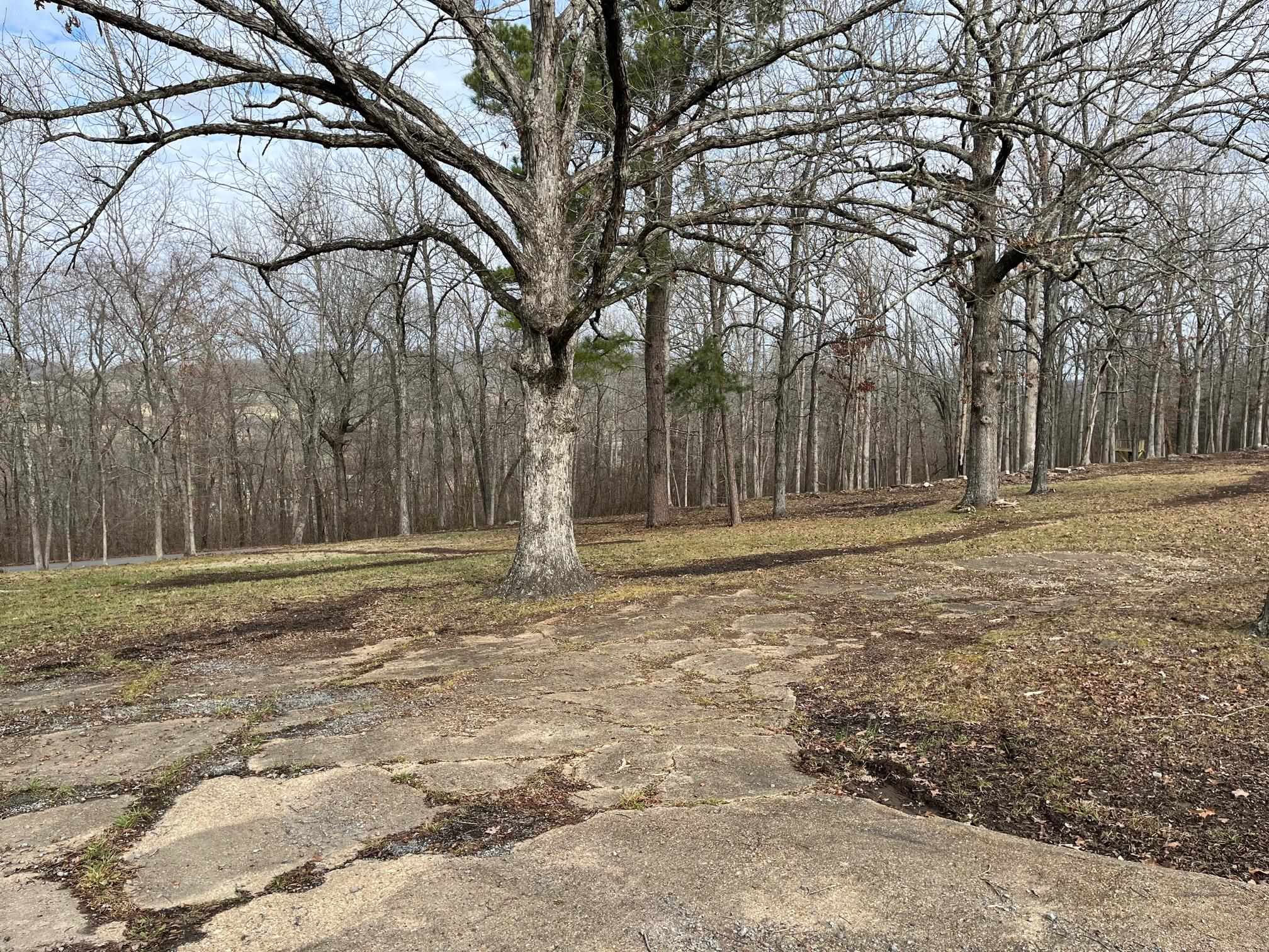   Wilson Street  Leslie, AR
