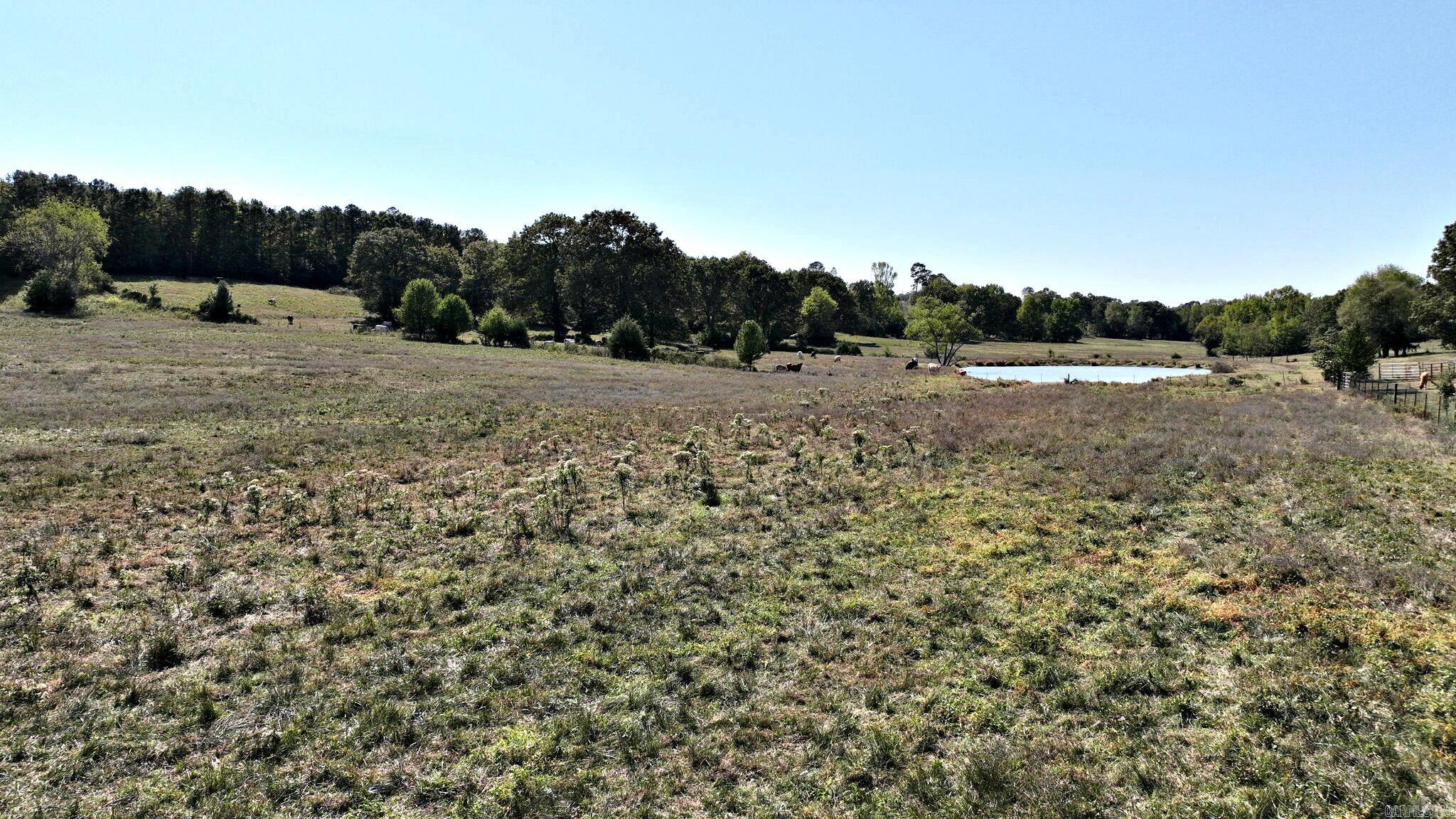 244  Polk Road 144  Hatfield, AR