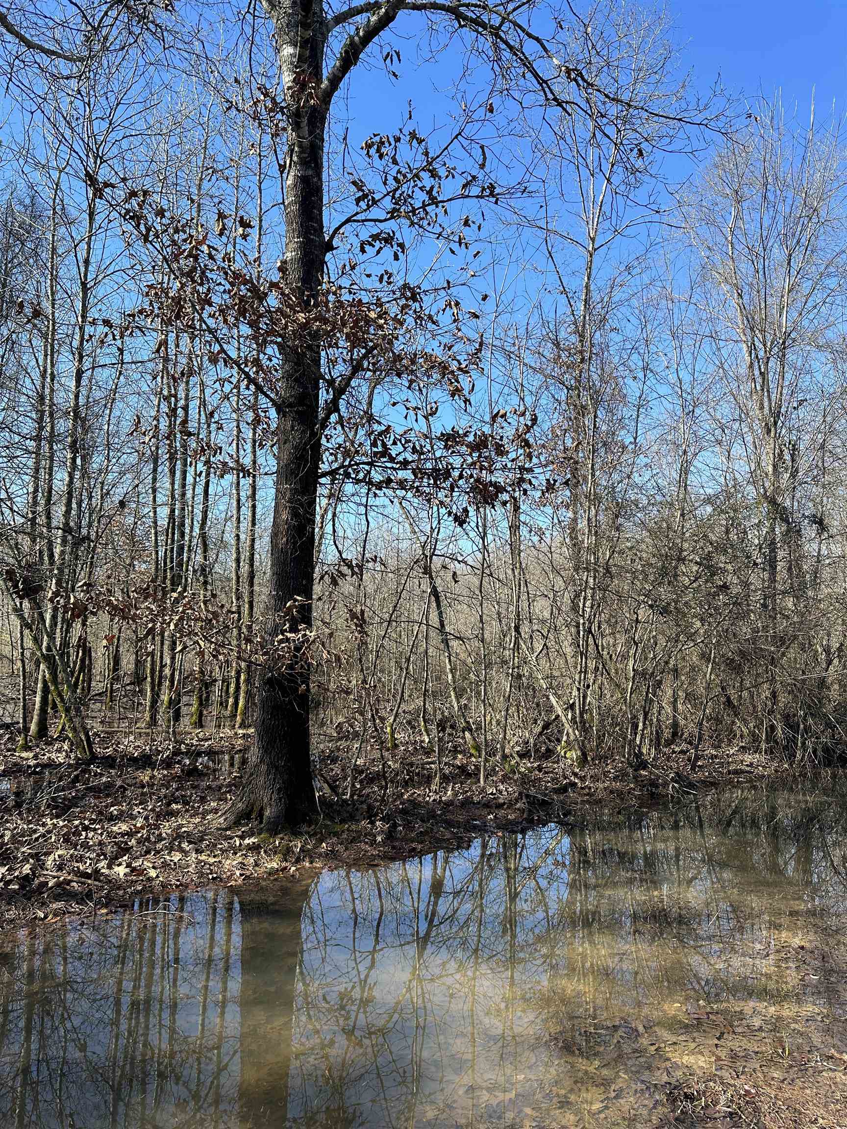 00  Nevada County 23  Prescott, AR