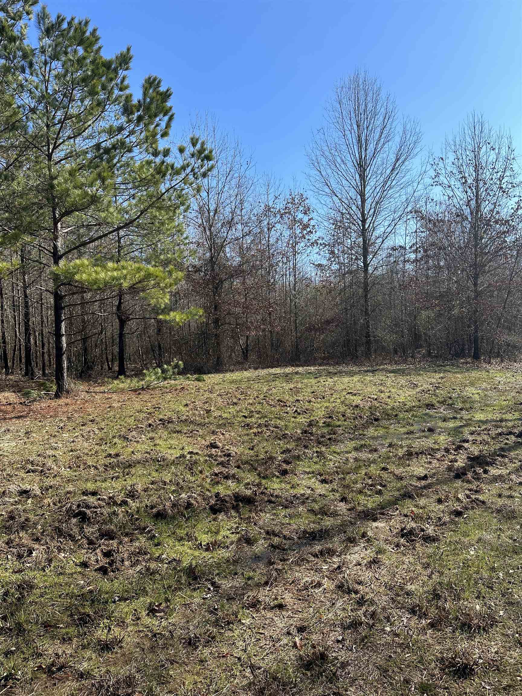 00  Nevada County 23  Prescott, AR