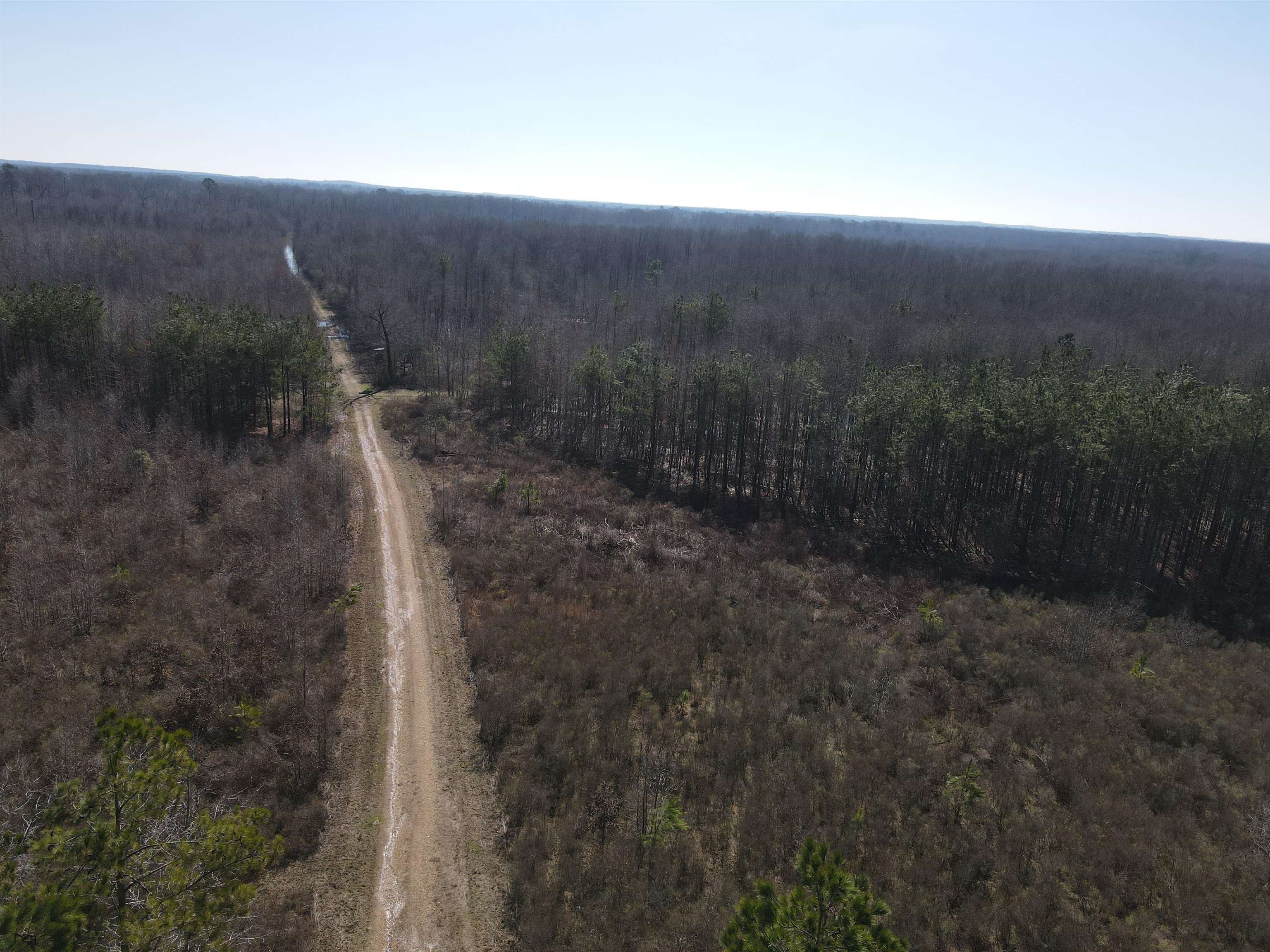00  Nevada County 23  Prescott, AR