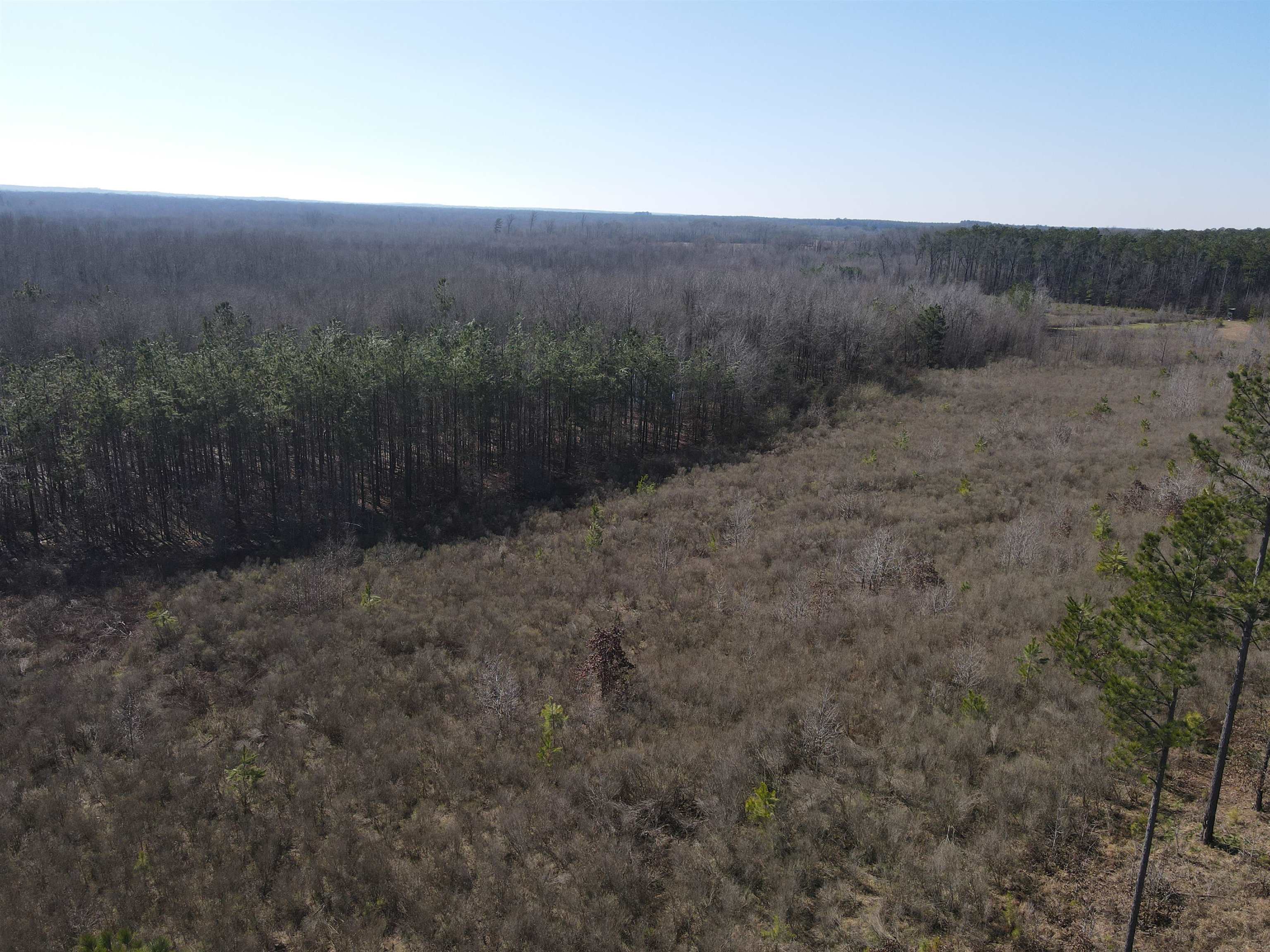 00  Nevada County 23  Prescott, AR
