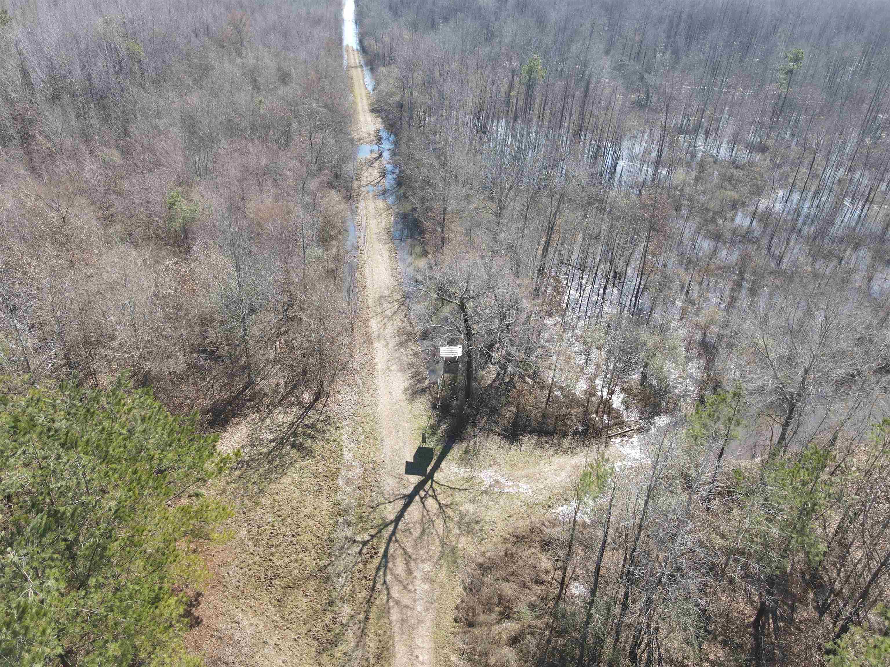 00  Nevada County 23  Prescott, AR