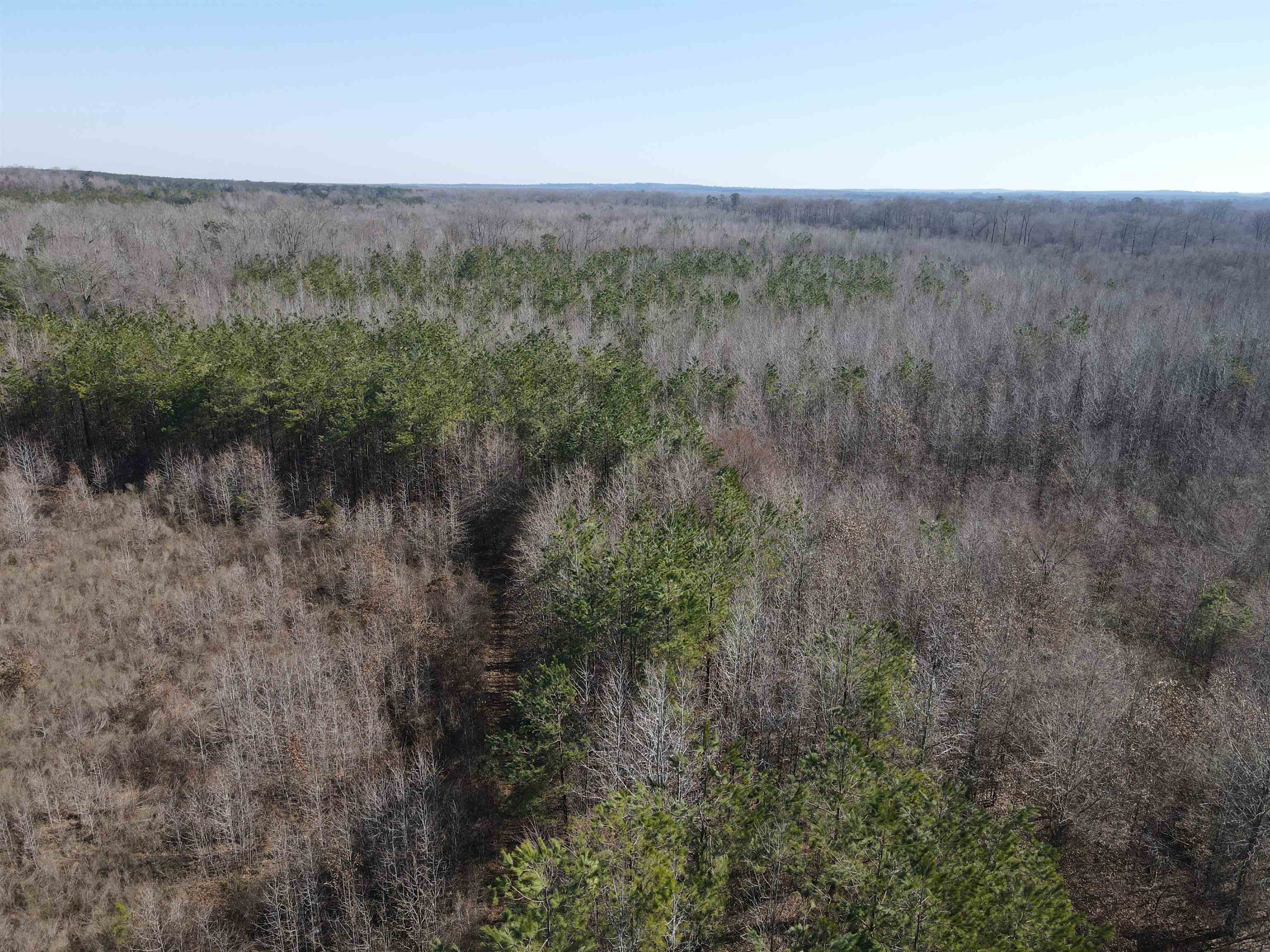 00  Nevada County 23  Prescott, AR