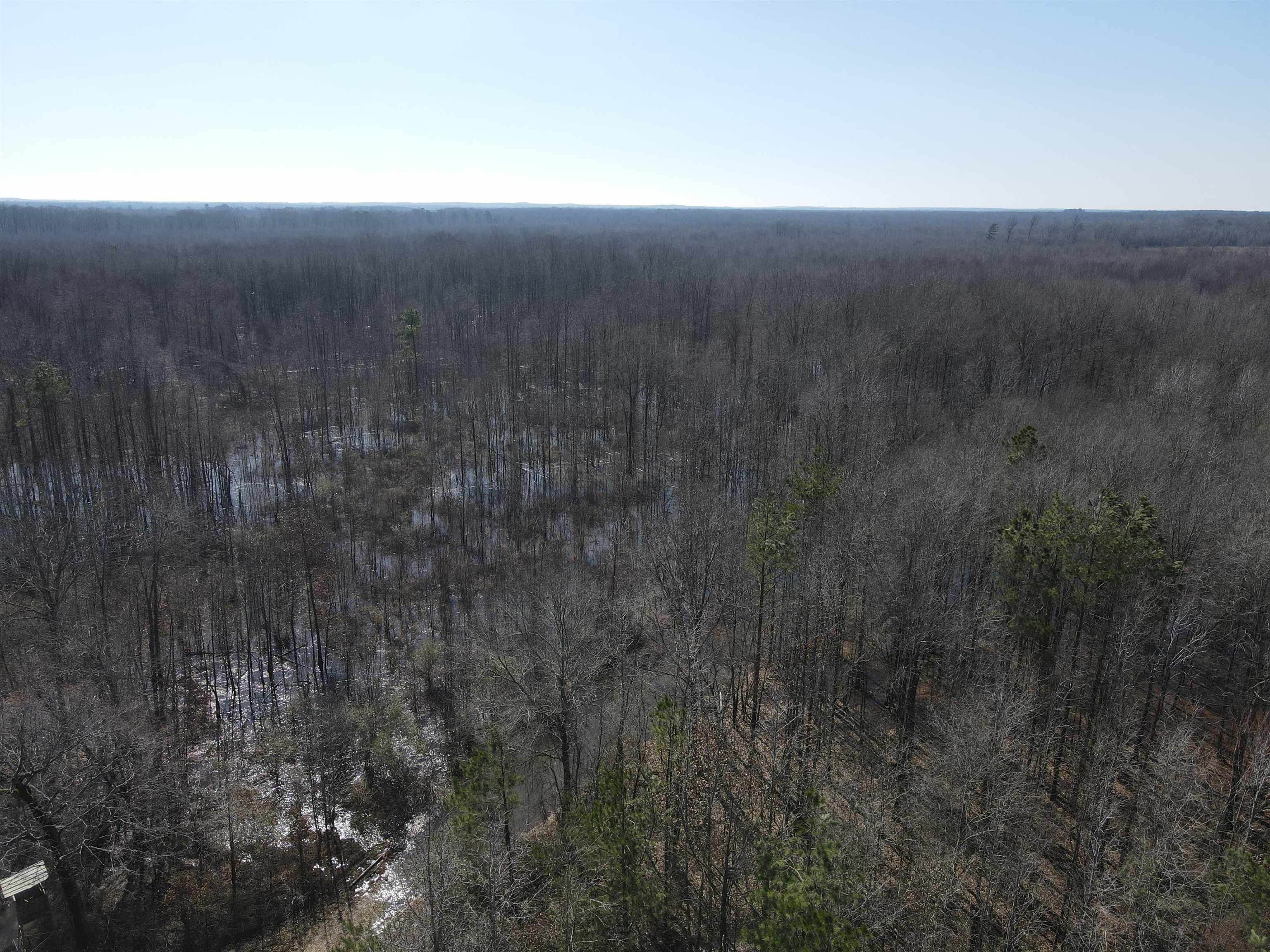 00  Nevada County 23  Prescott, AR