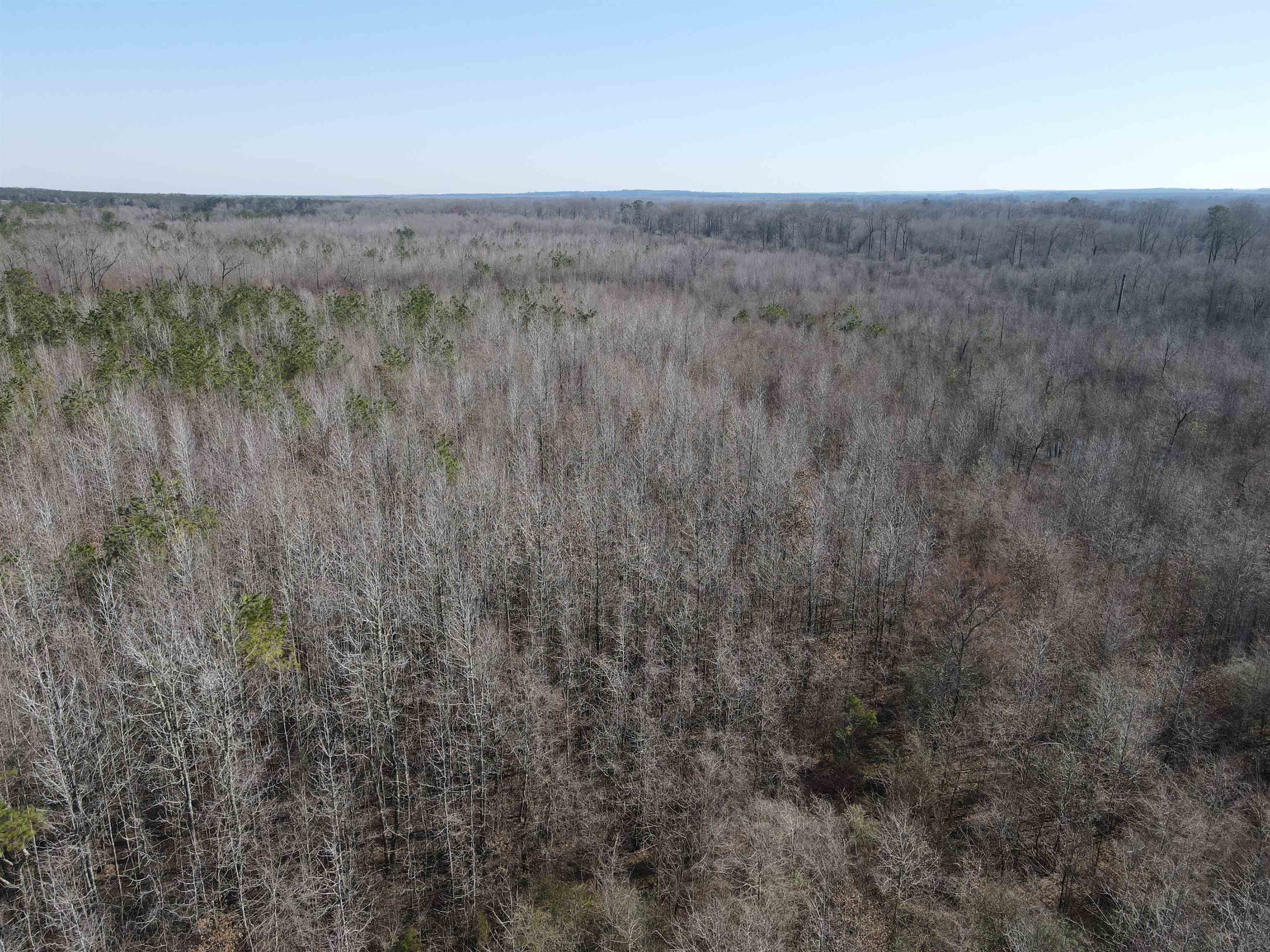 00  Nevada County 23  Prescott, AR