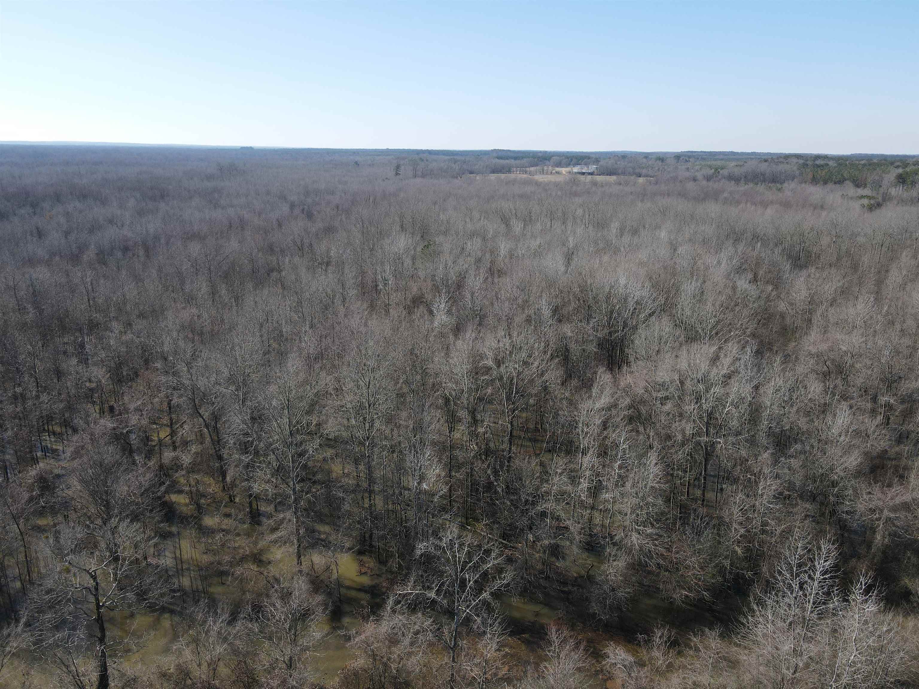 00  Nevada County 23  Prescott, AR