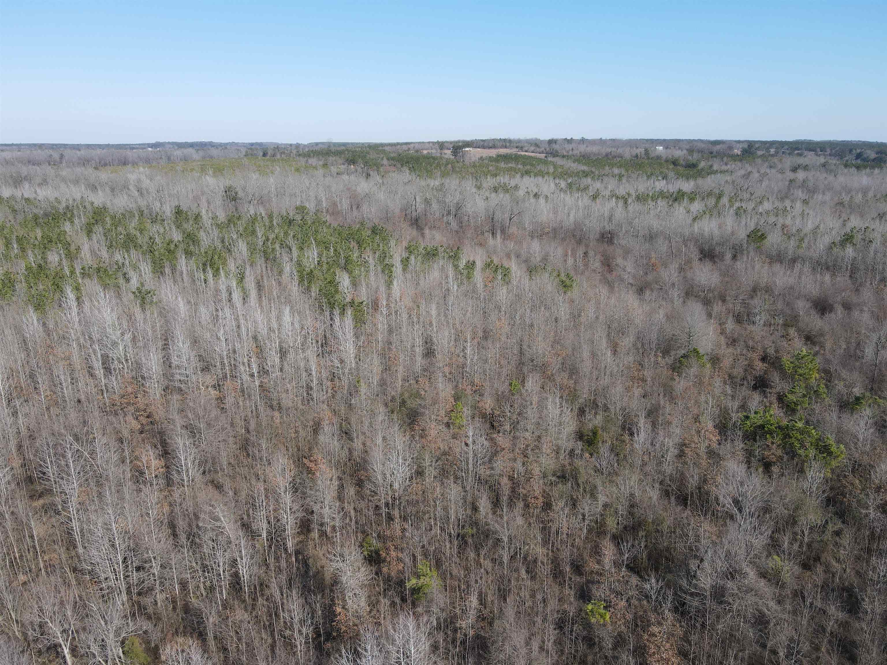 00  Nevada County 23  Prescott, AR