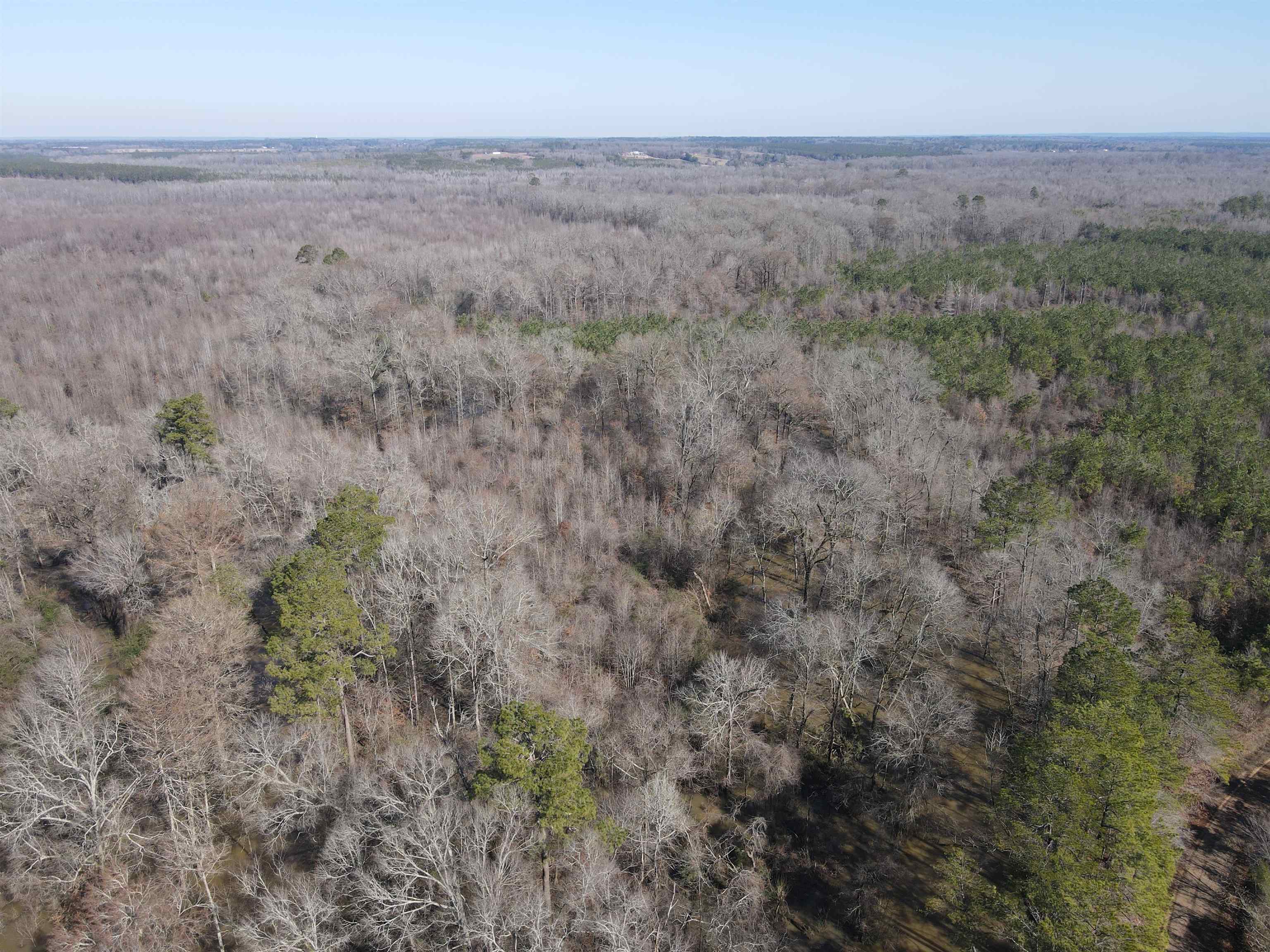 00  Nevada County 23  Prescott, AR