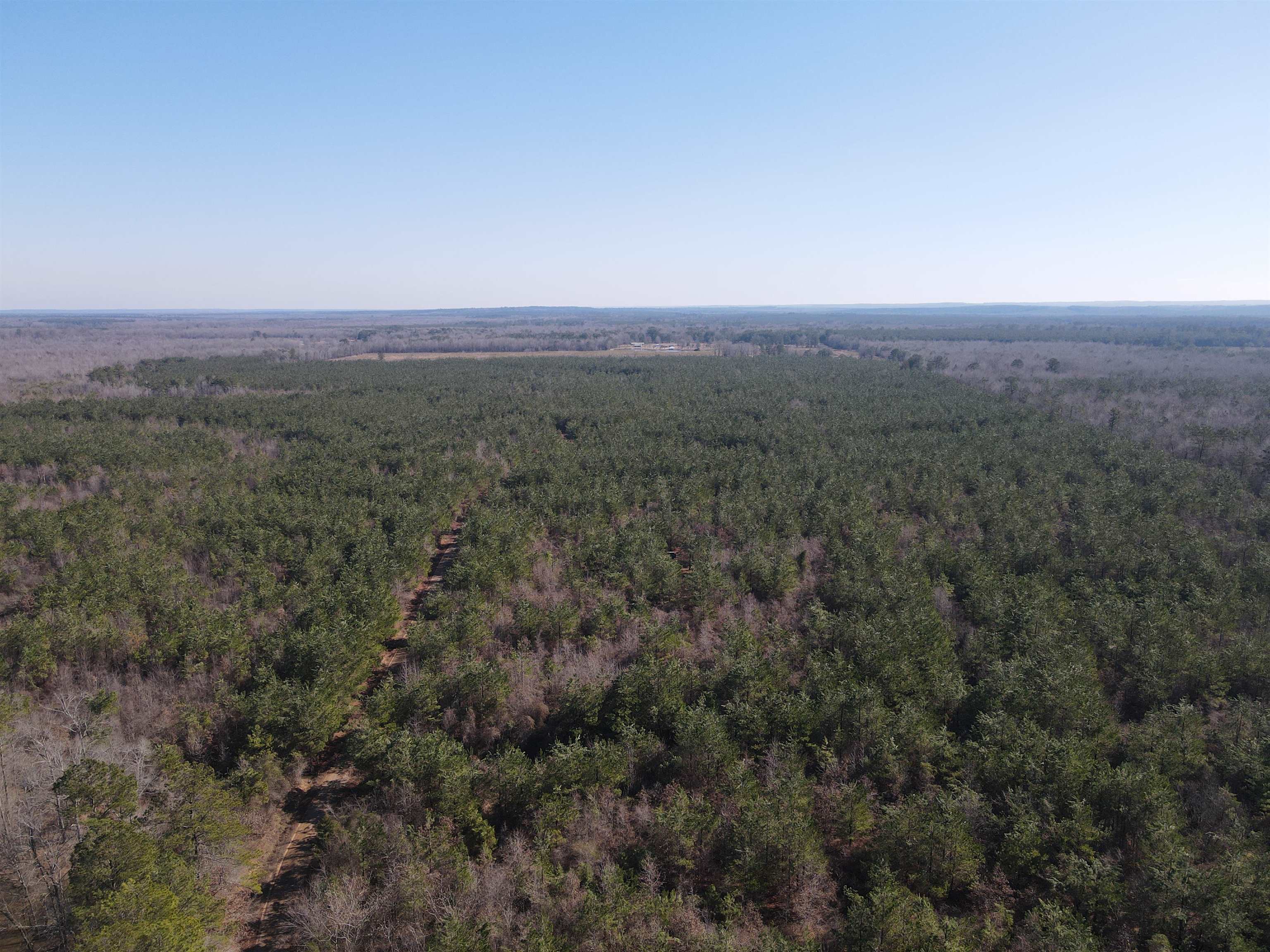 00  Nevada County 23  Prescott, AR