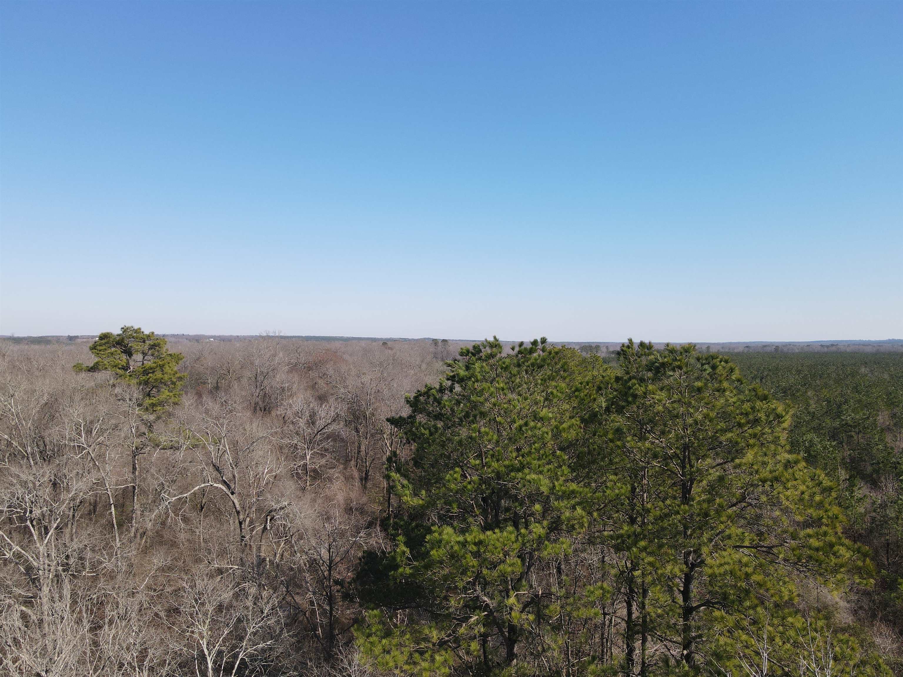 00  Nevada County 23  Prescott, AR