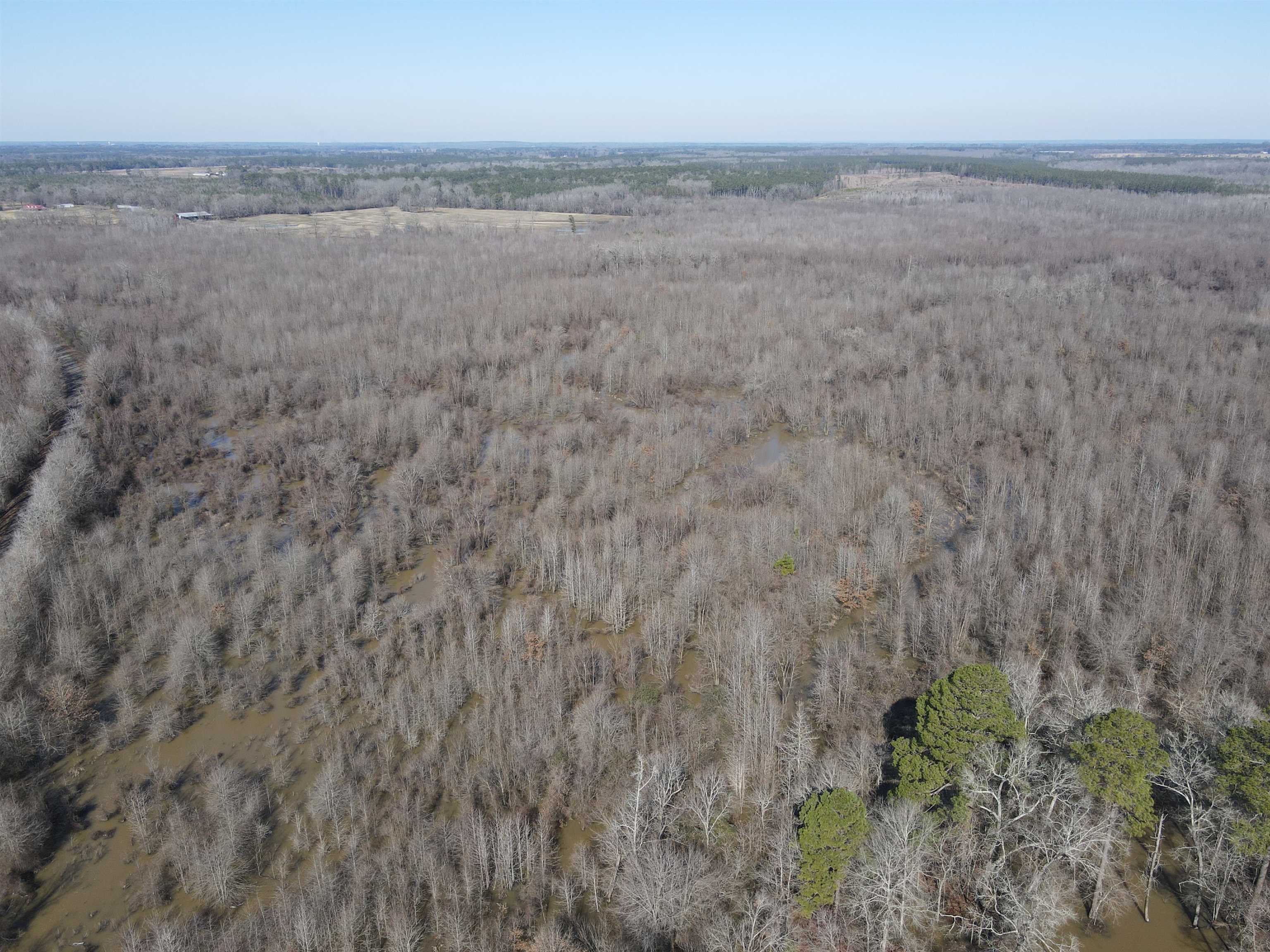 00  Nevada County 23  Prescott, AR