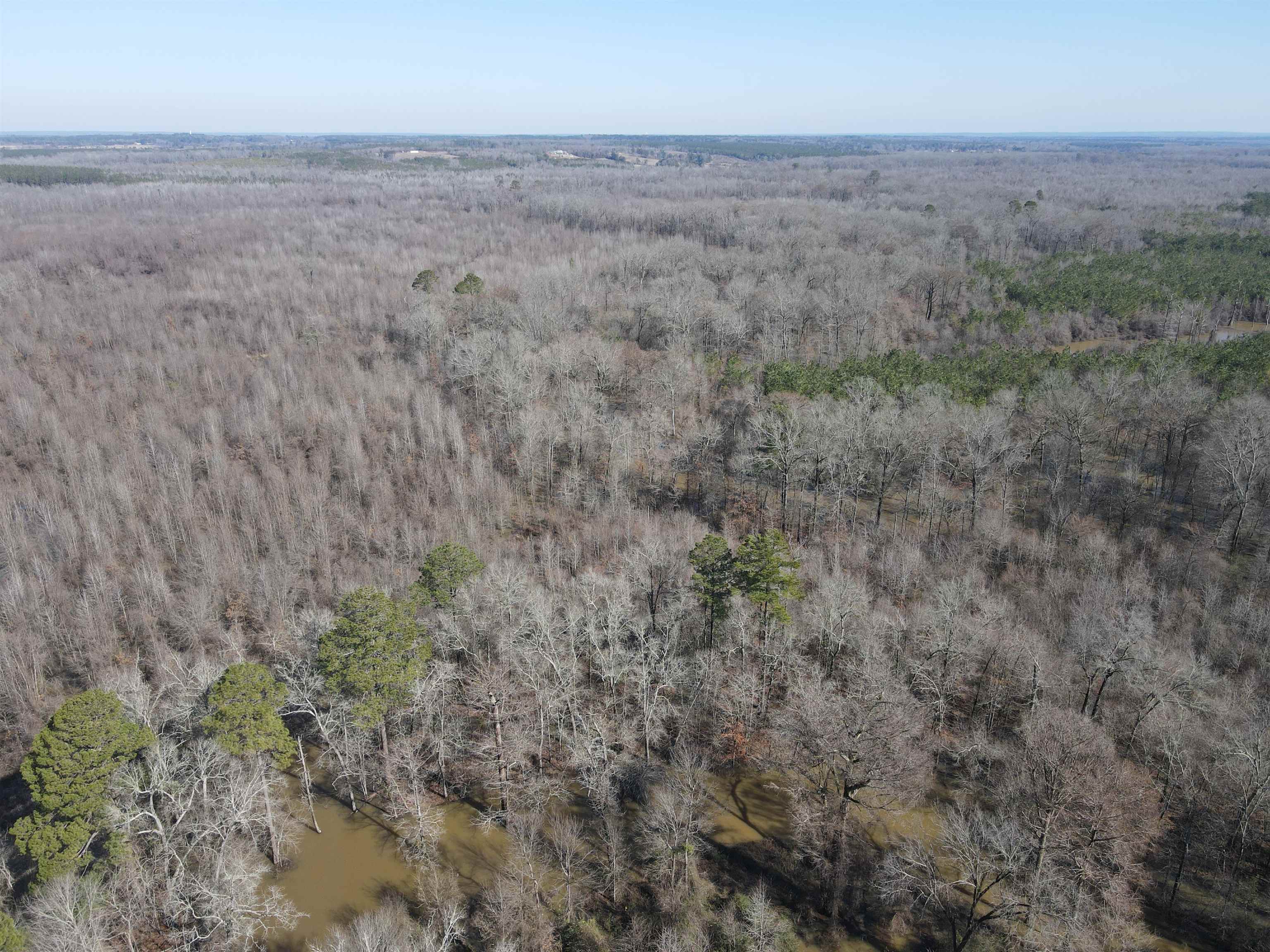 00  Nevada County 23  Prescott, AR