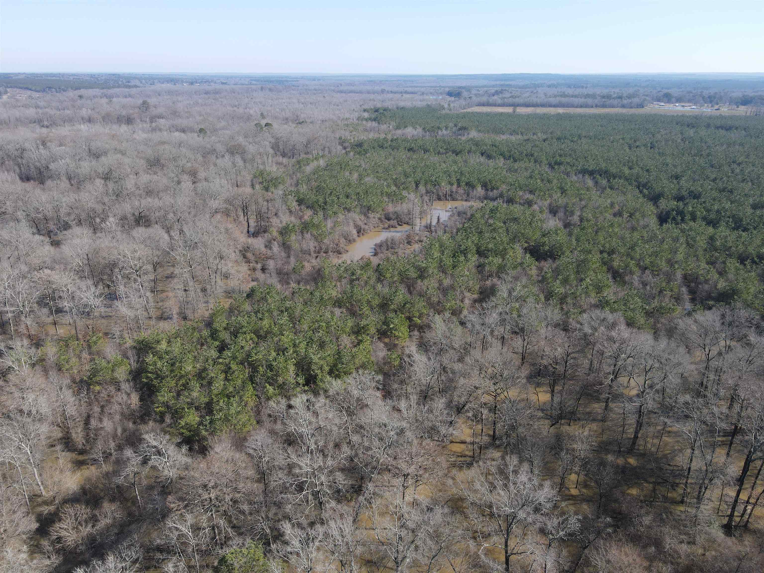 00  Nevada County 23  Prescott, AR