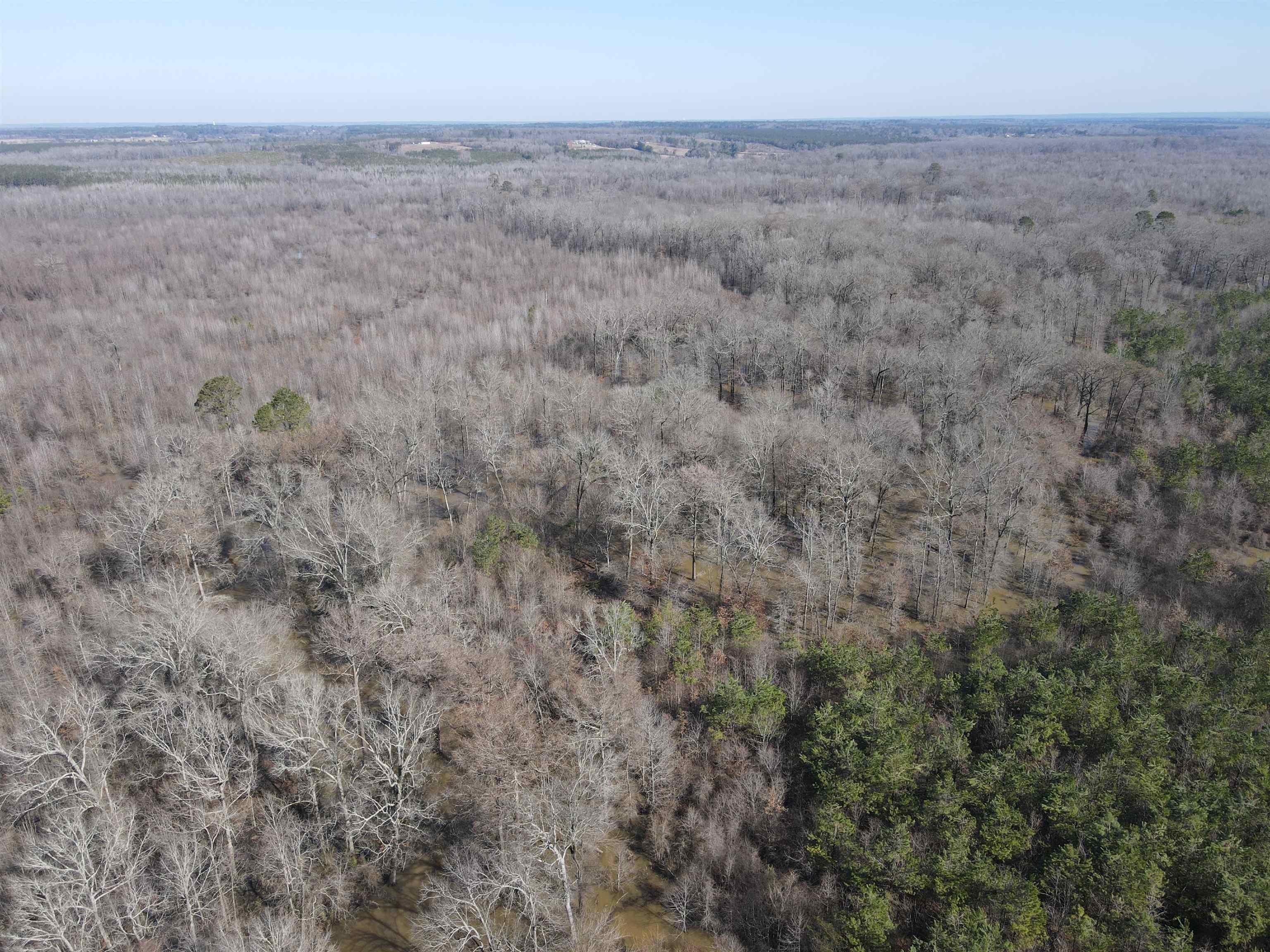 00  Nevada County 23  Prescott, AR