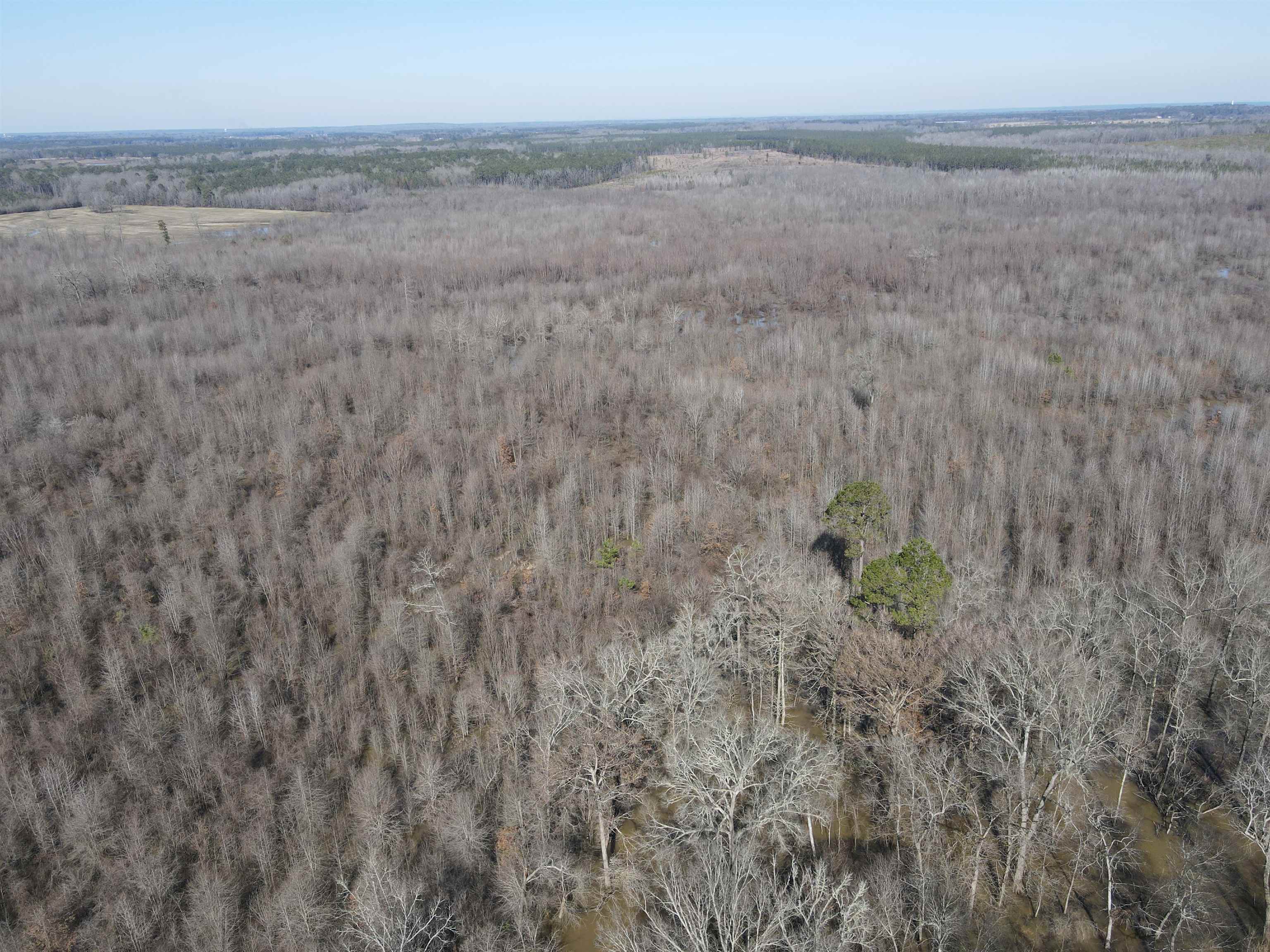 00  Nevada County 23  Prescott, AR