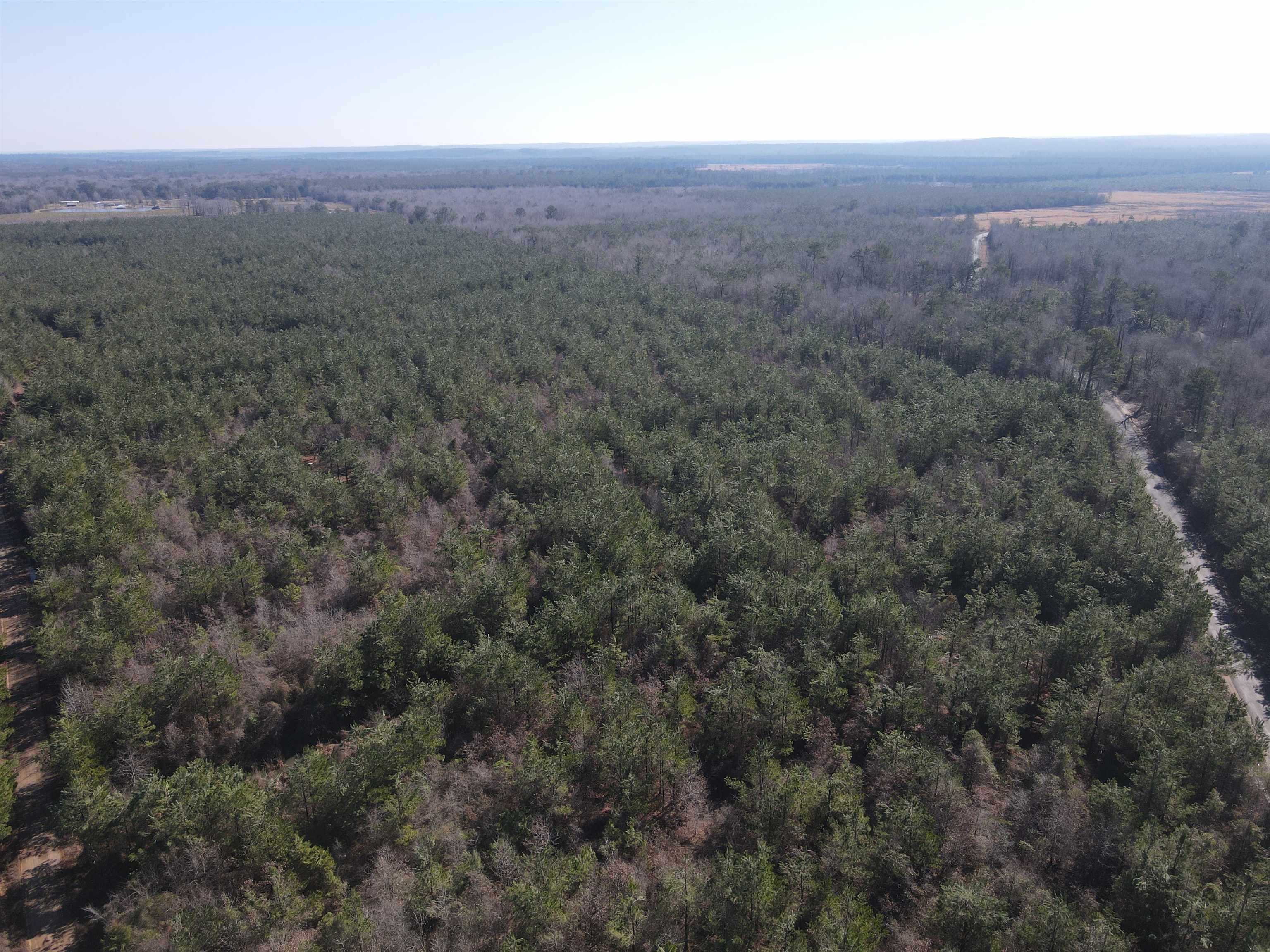 00  Nevada County 23  Prescott, AR