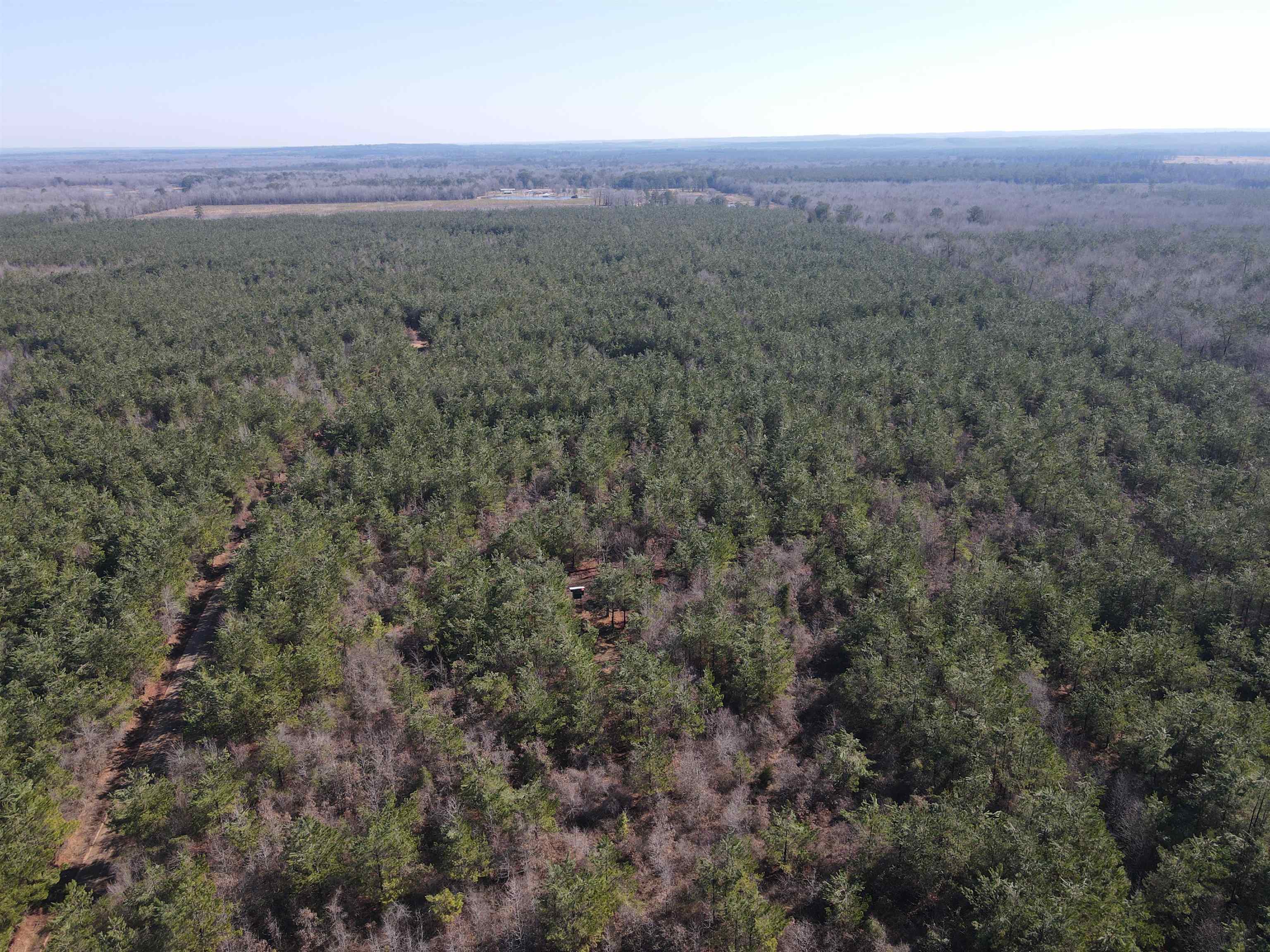 00  Nevada County 23  Prescott, AR