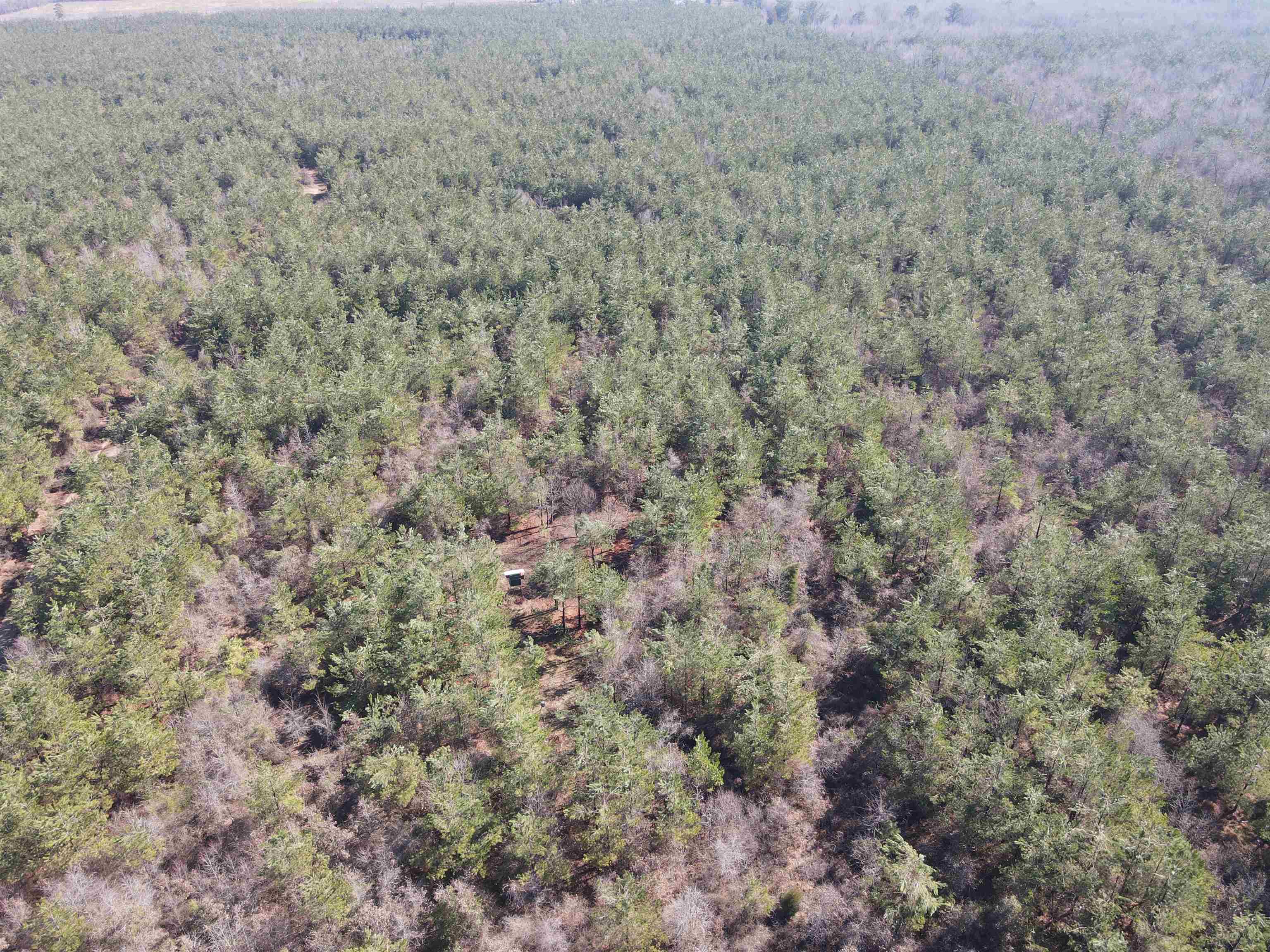 00  Nevada County 23  Prescott, AR