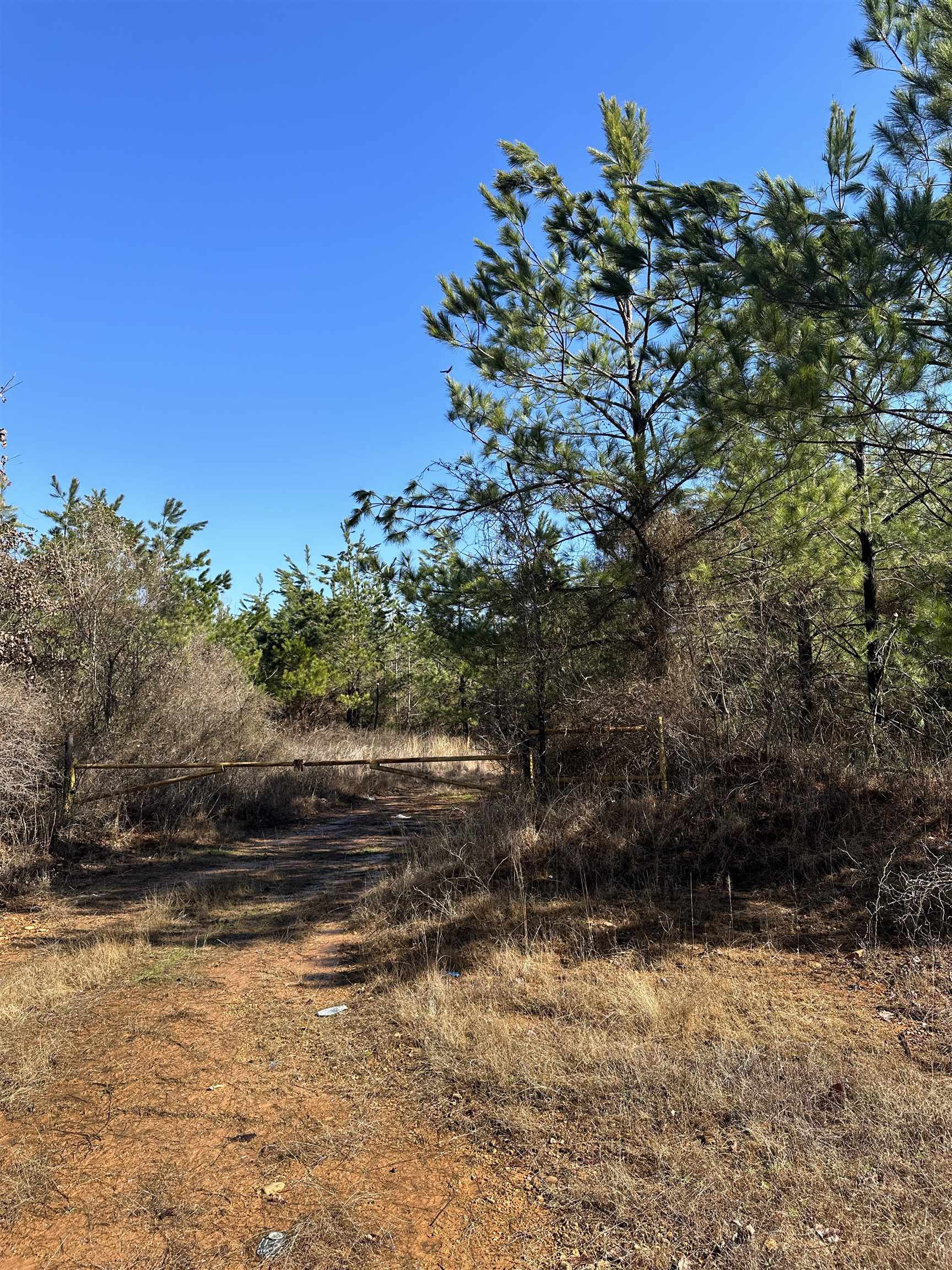 00  Nevada County 23  Prescott, AR