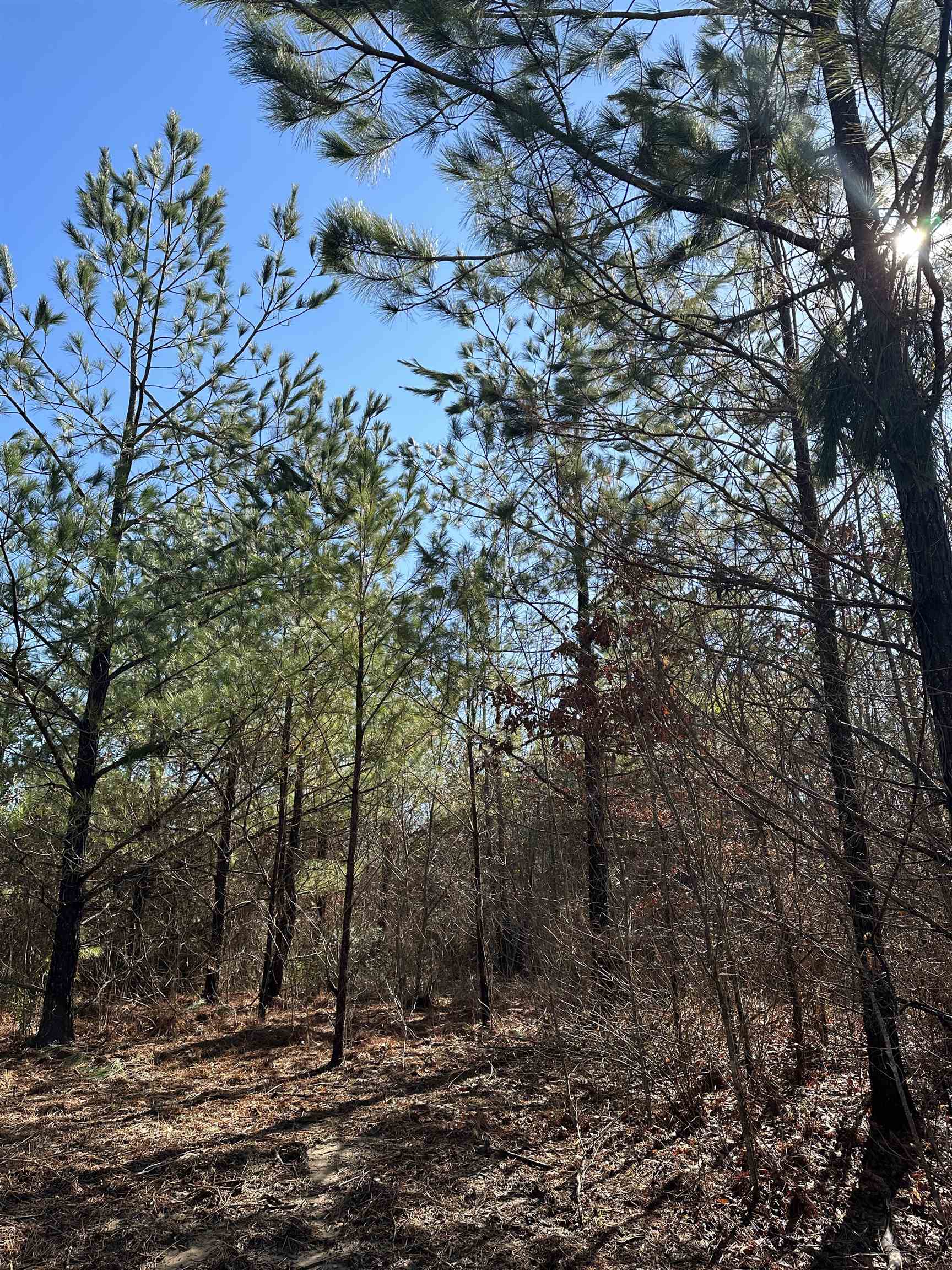 00  Nevada County 23  Prescott, AR