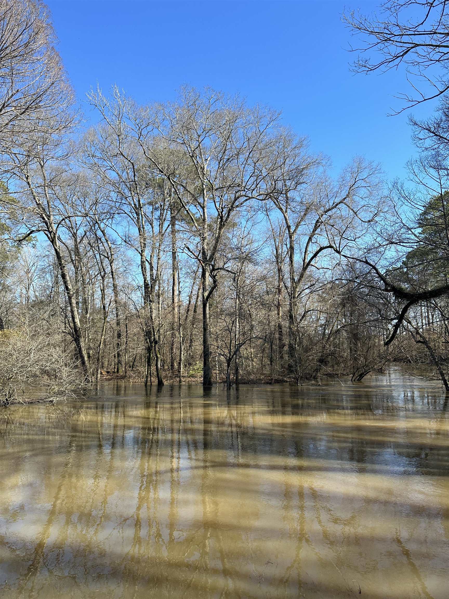 00  Nevada County 23  Prescott, AR