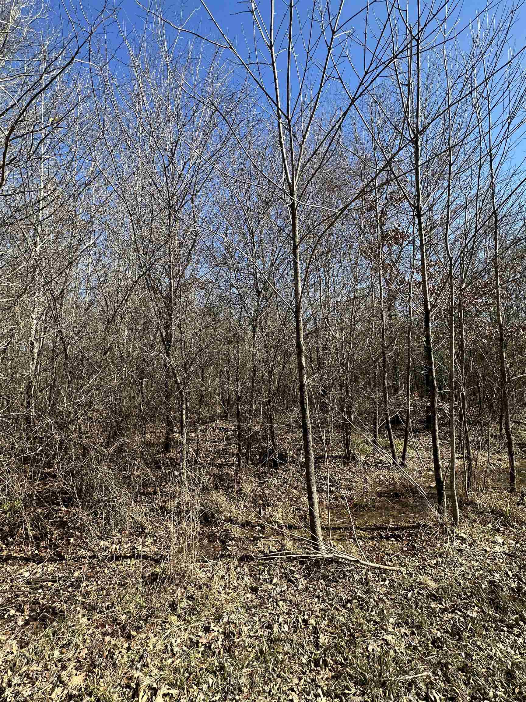 00  Nevada County 23  Prescott, AR