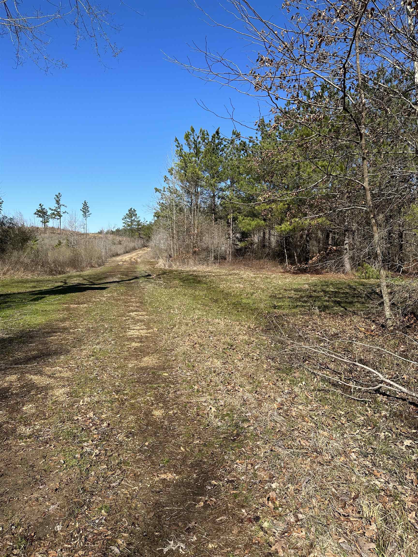 00  Nevada County 23  Prescott, AR