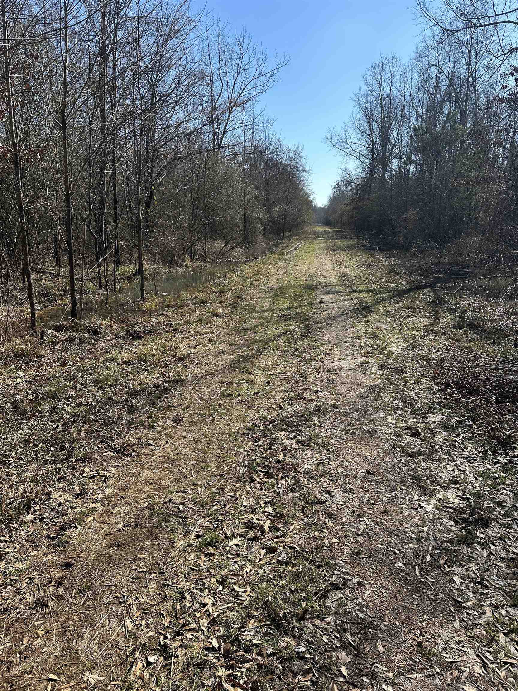 00  Nevada County 23  Prescott, AR