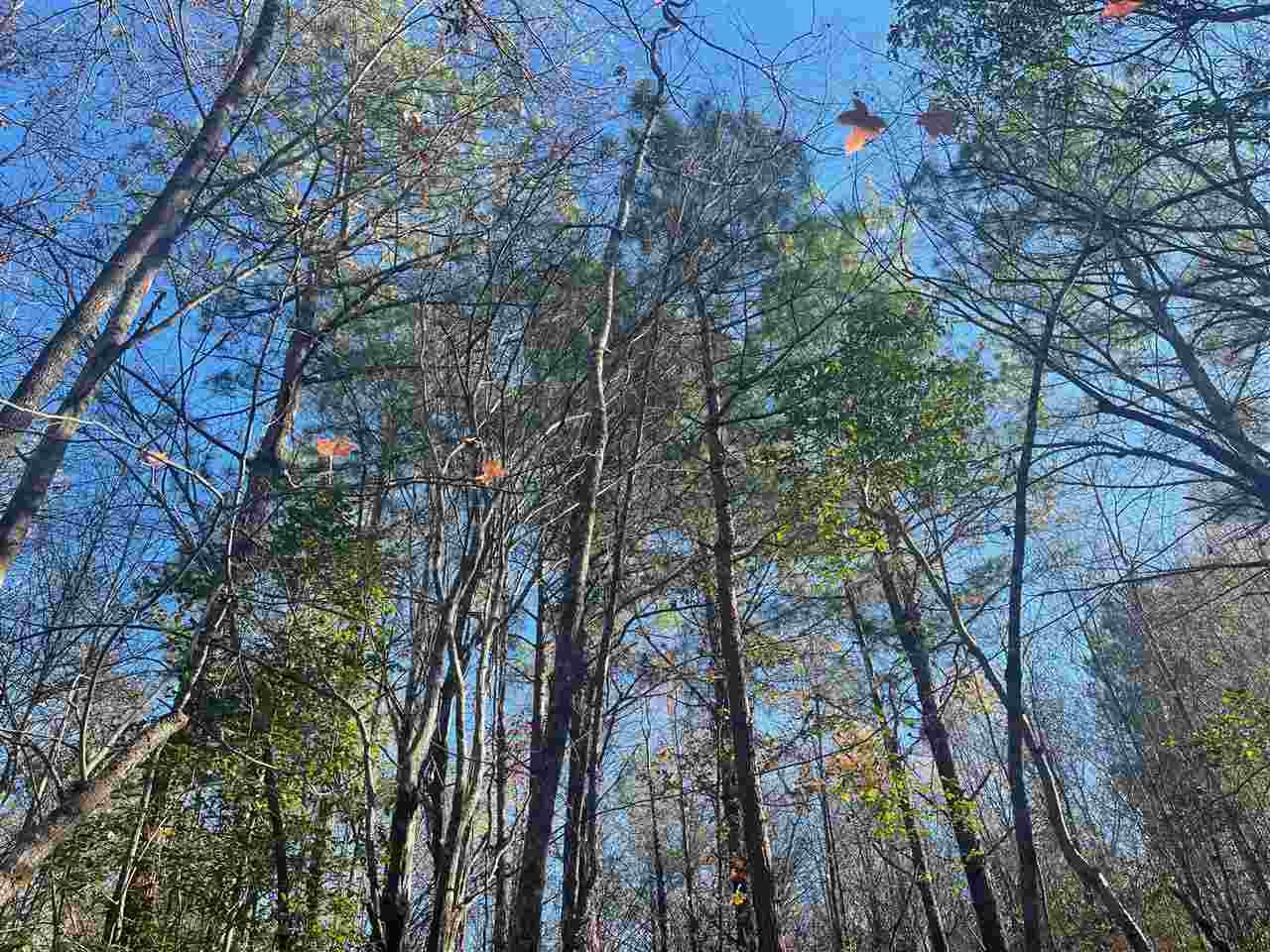 00  Deer Brook  Sheridan, AR
