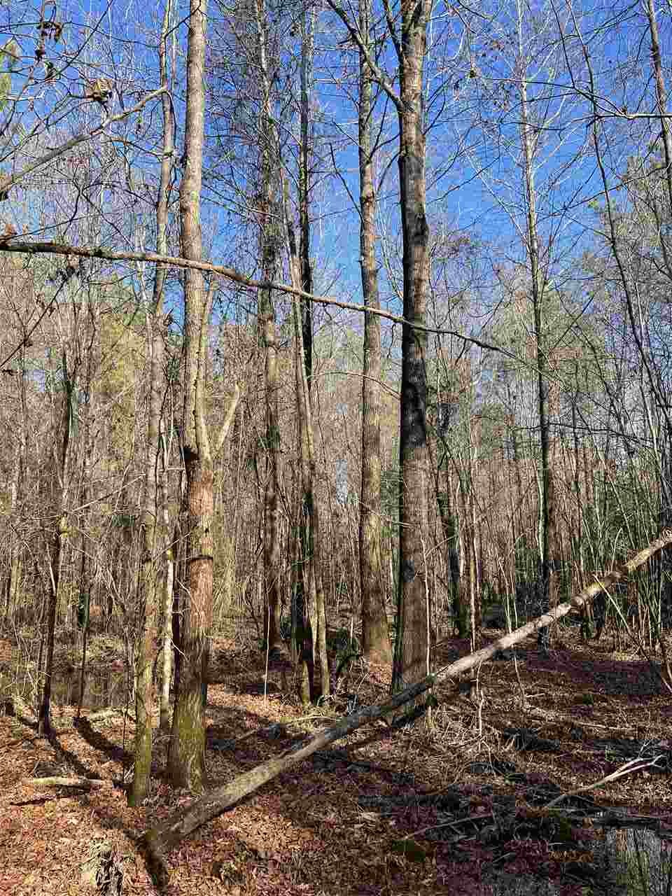 00  Deer Brook  Sheridan, AR