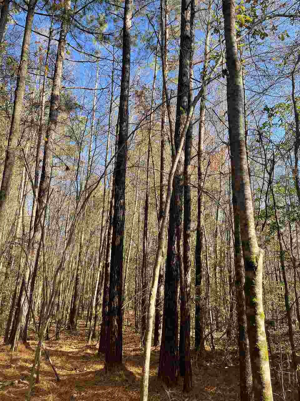 00  Deer Brook  Sheridan, AR