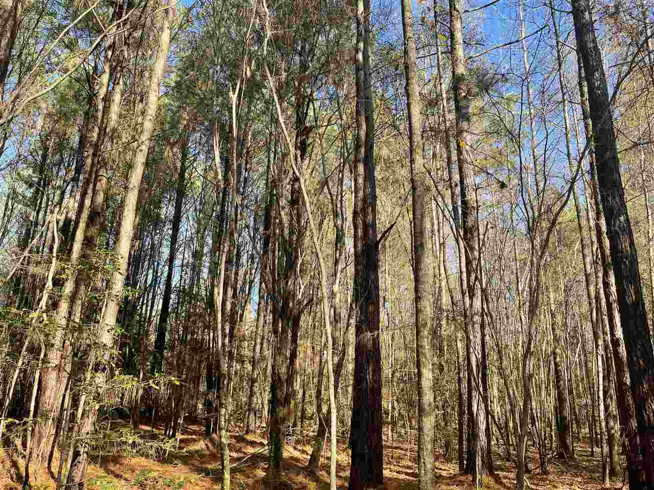00  Deer Brook  Sheridan, AR