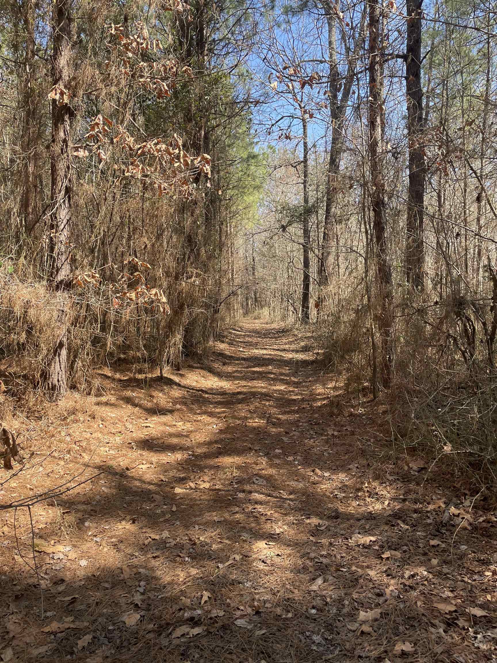 00  Deer Brook  Sheridan, AR