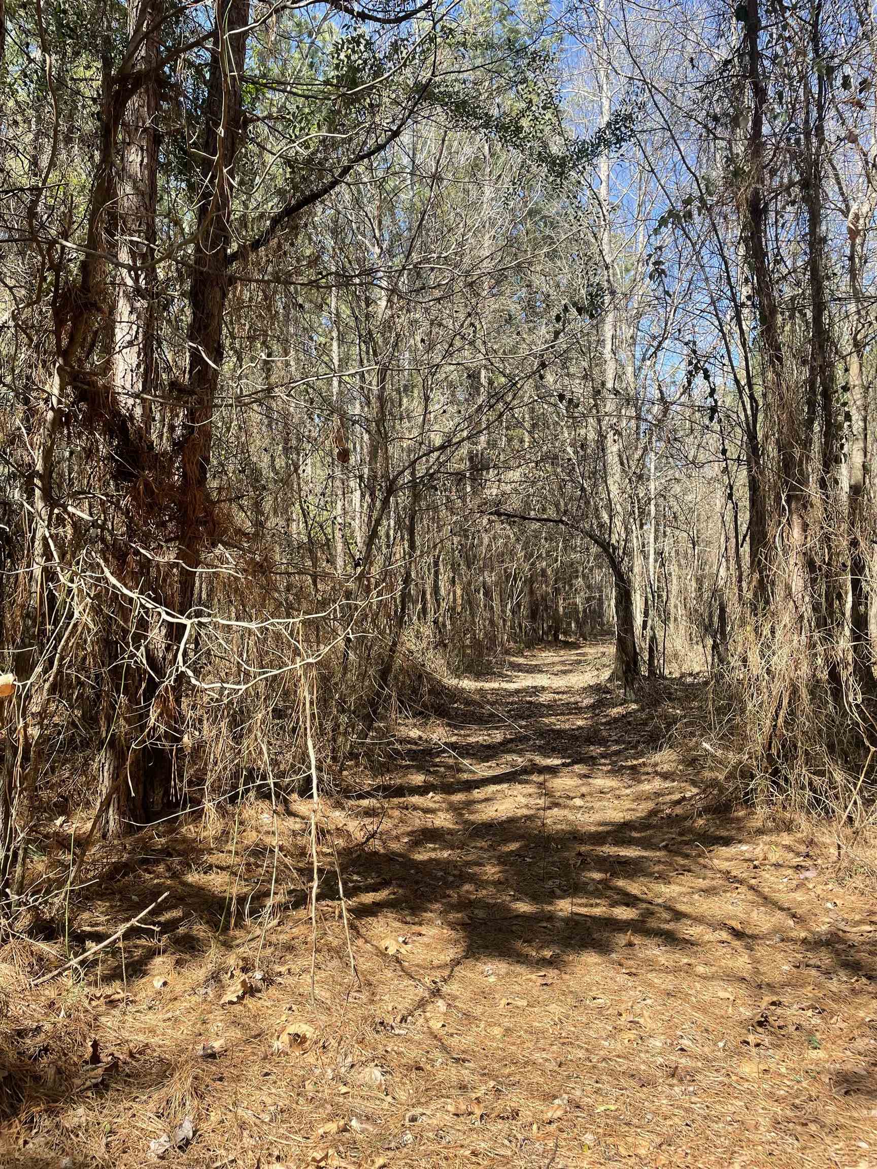00  Deer Brook  Sheridan, AR