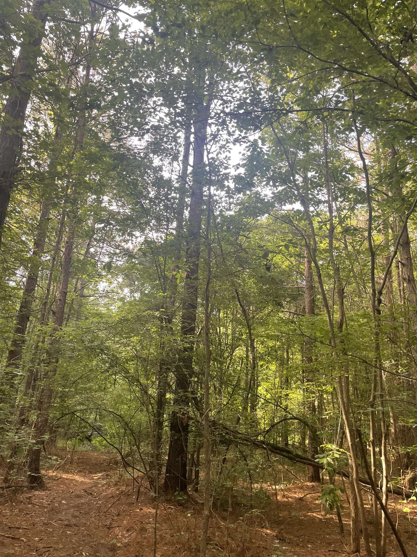 00  Deer Brook  Sheridan, AR
