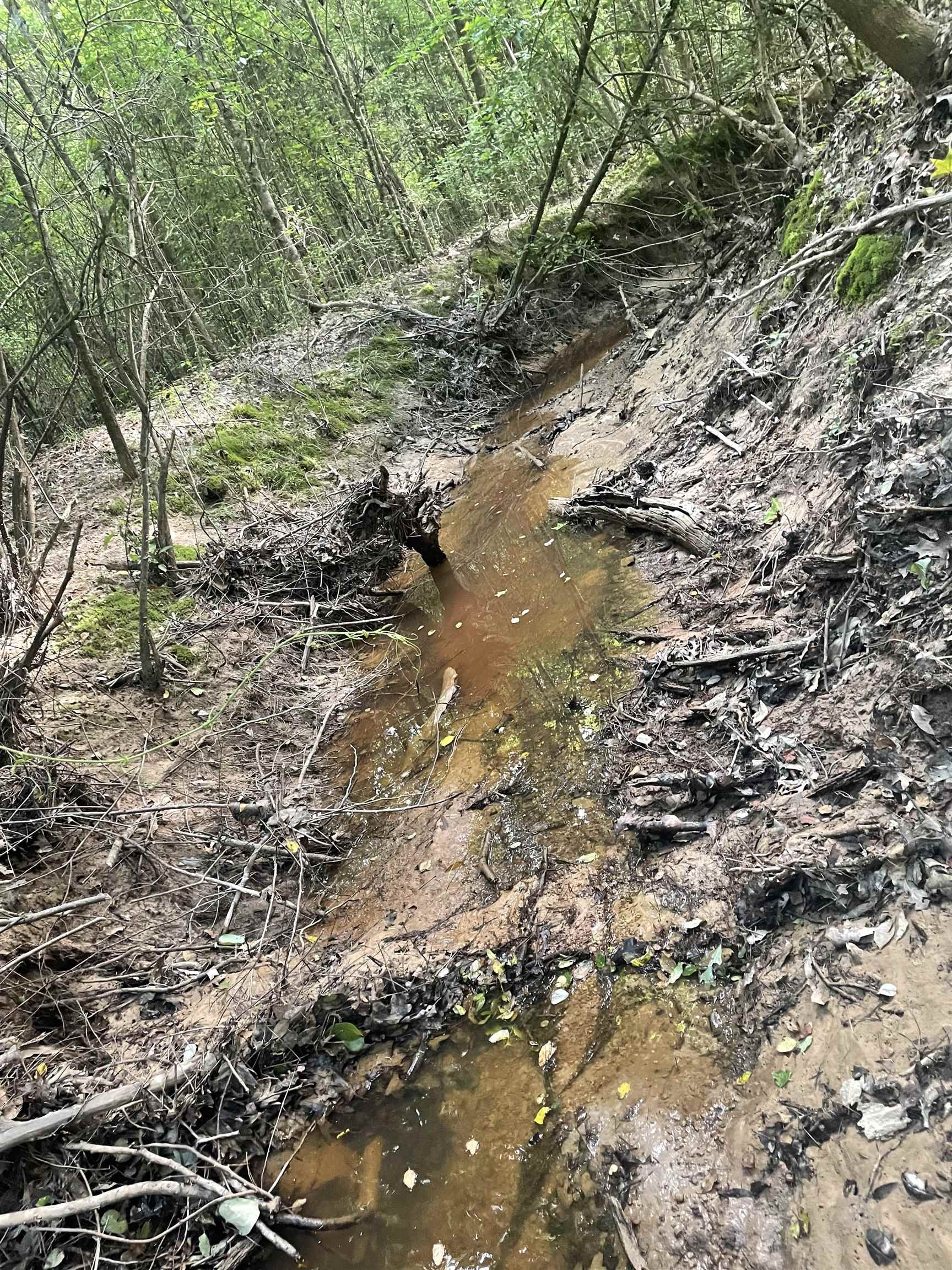 00  Deer Brook  Sheridan, AR