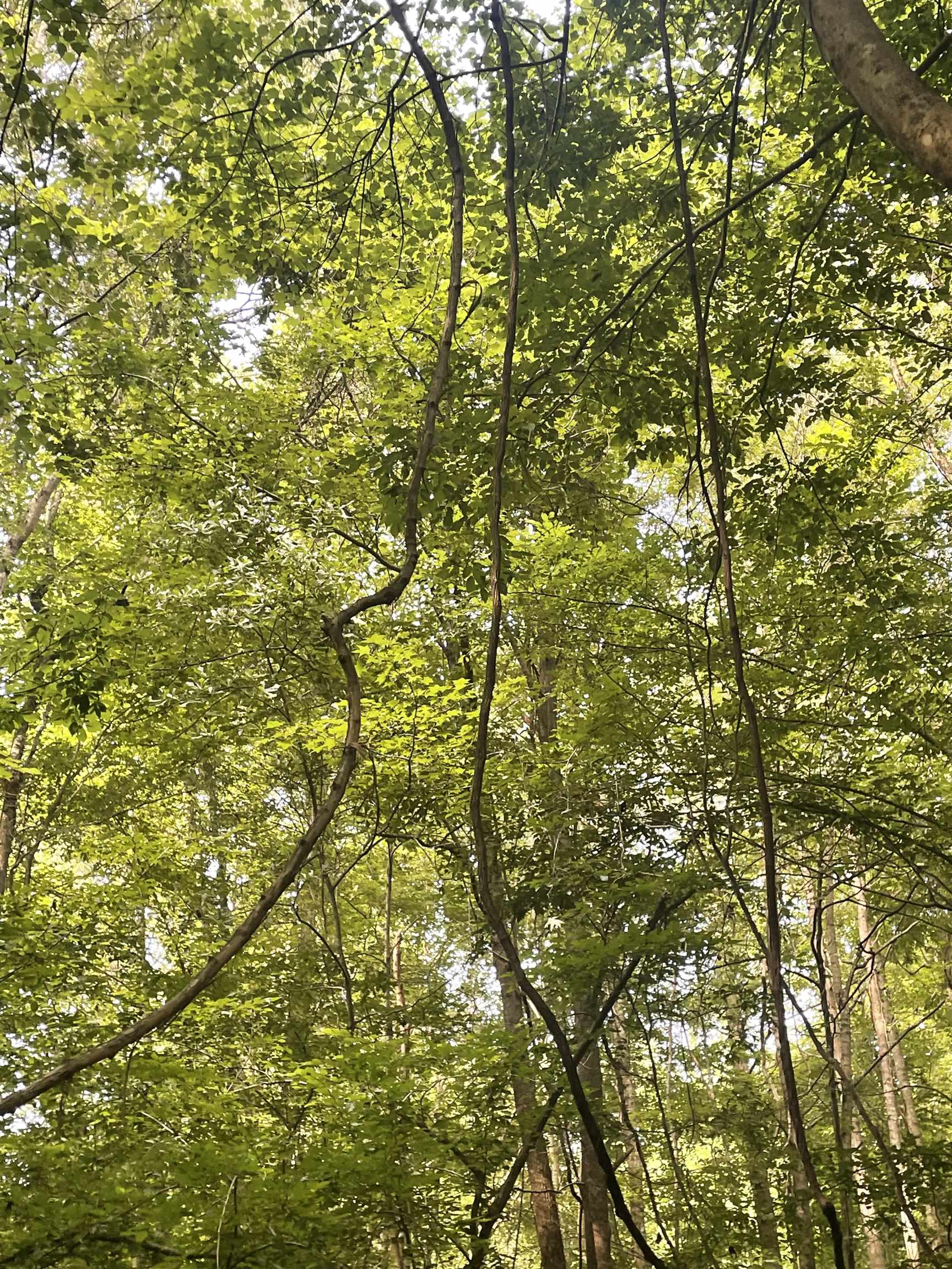 00  Deer Brook  Sheridan, AR