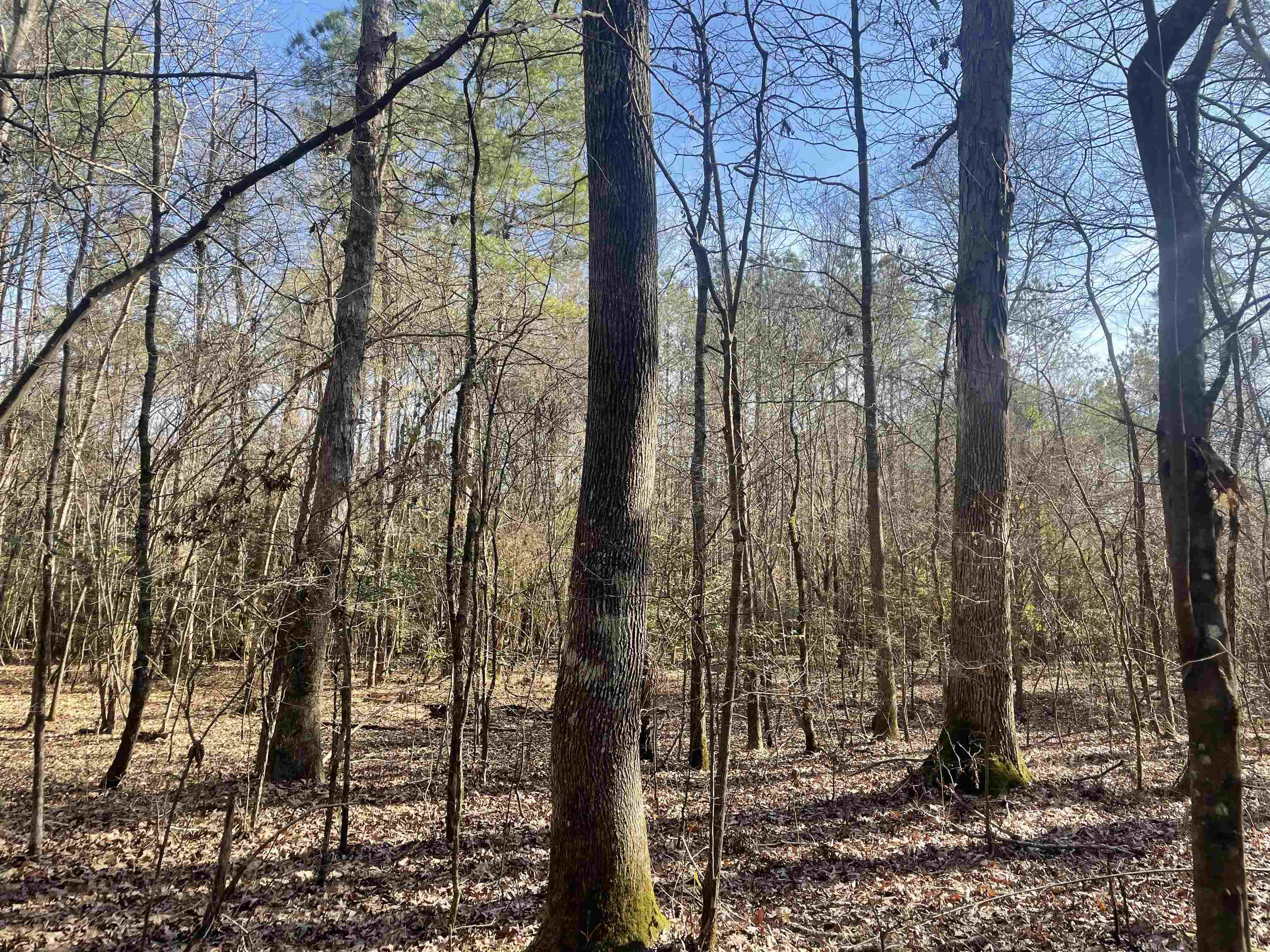00  Deer Brook  Sheridan, AR
