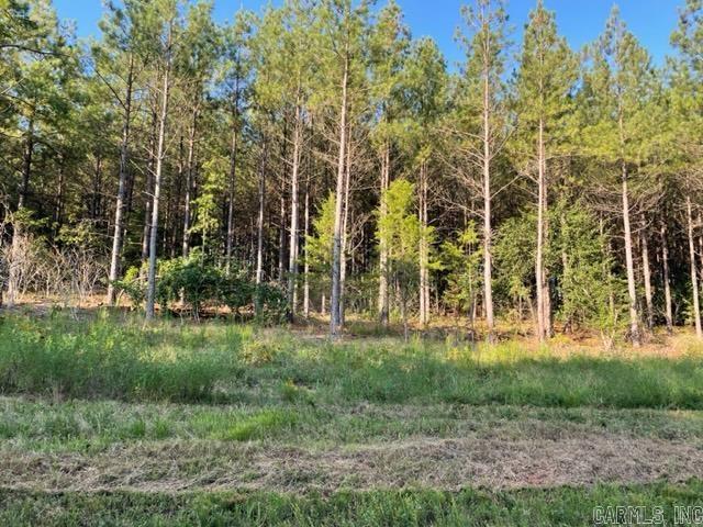   Lot 5 Round Mountain Road  Conway, AR