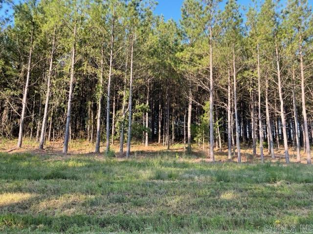  Lot 7 Round Mountain Road  Conway, AR