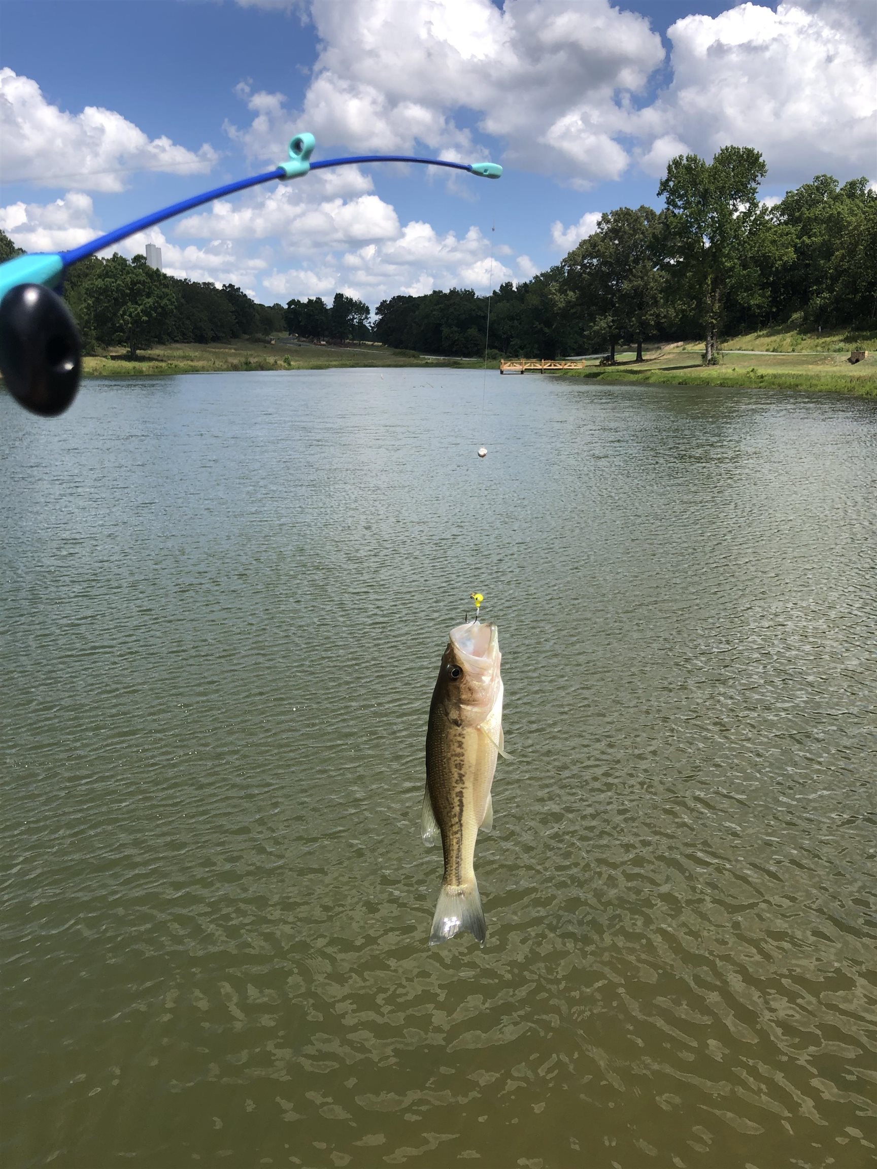 TBD Rainbow Lake Lot 50 Austin, AR