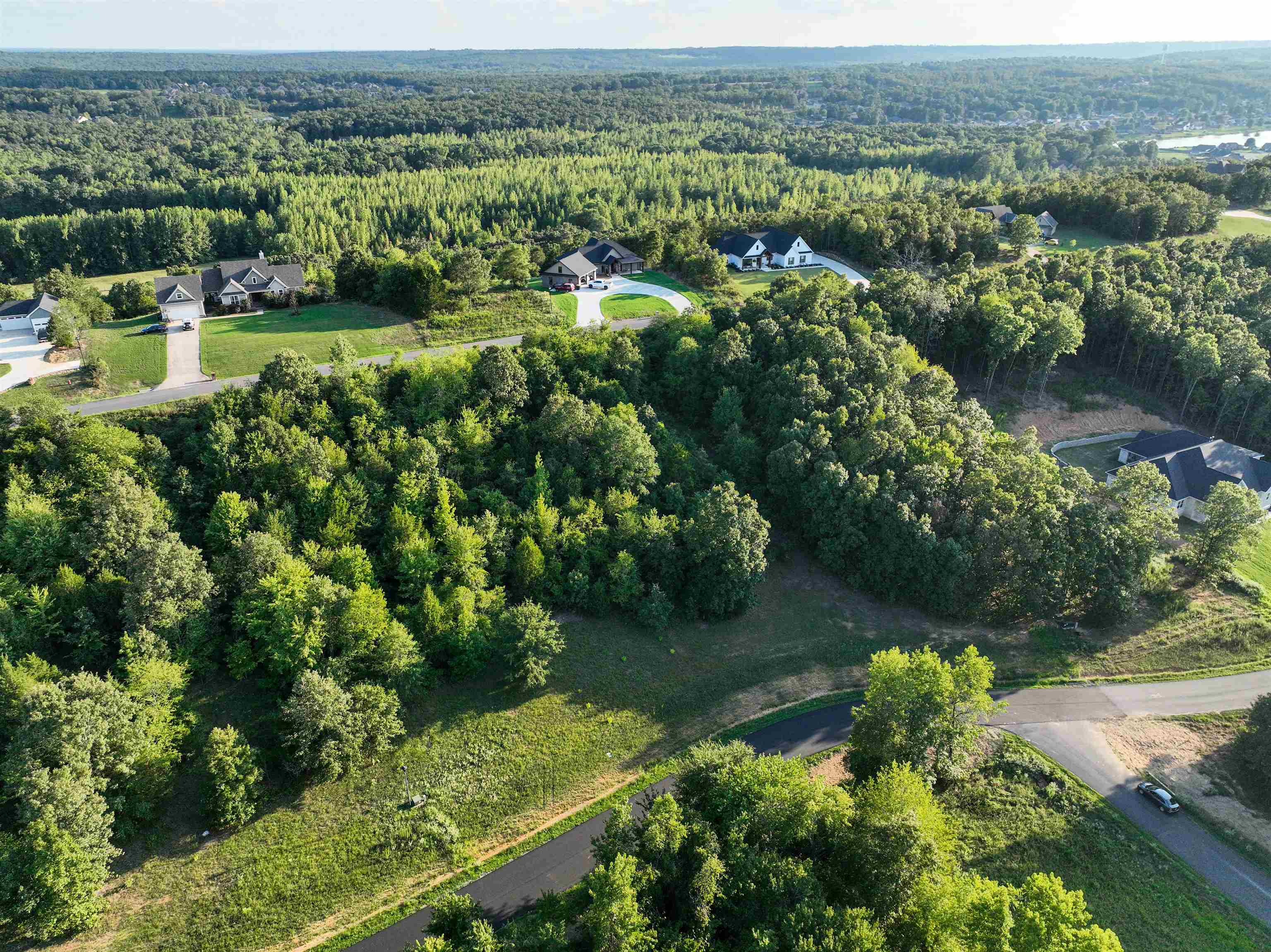 TBD Rainbow Lake Lot 50 Austin, AR