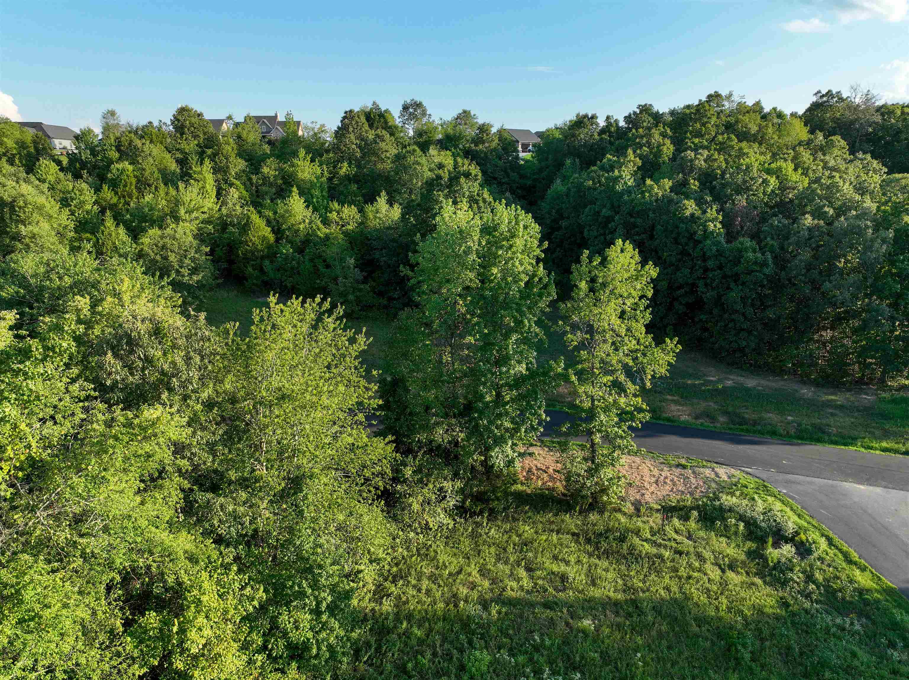 TBD Rainbow Lake Lot 50 Austin, AR