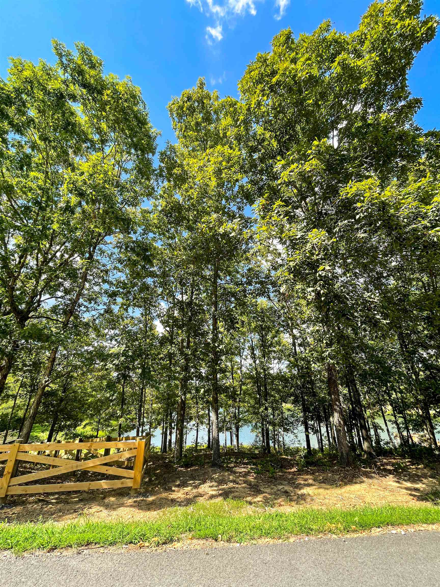 TBD Rainbow Lake Lot 50 Austin, AR