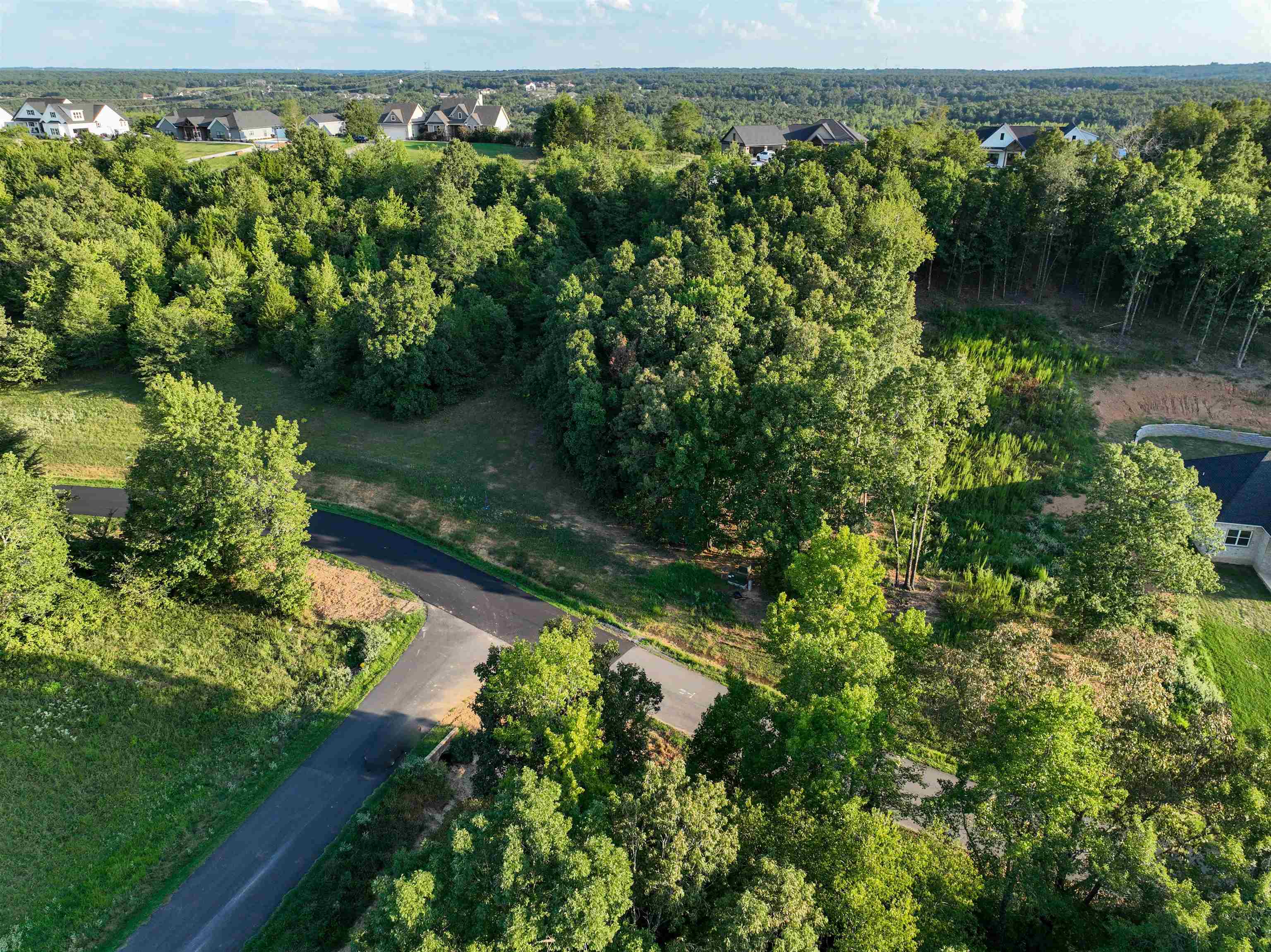 TBD Rainbow Lake Lot 51 Austin, AR