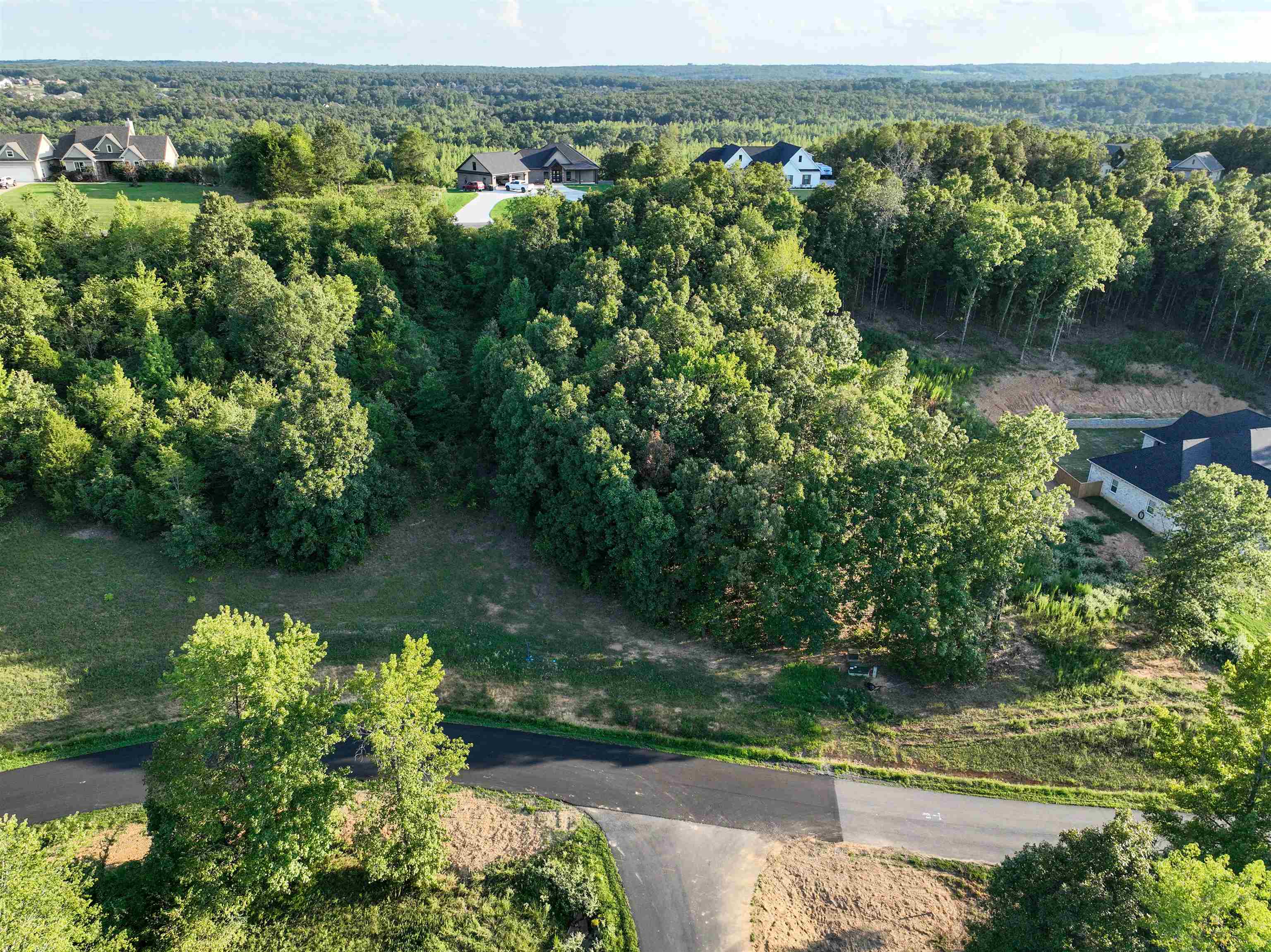TBD Rainbow Lake Lot 51 Austin, AR